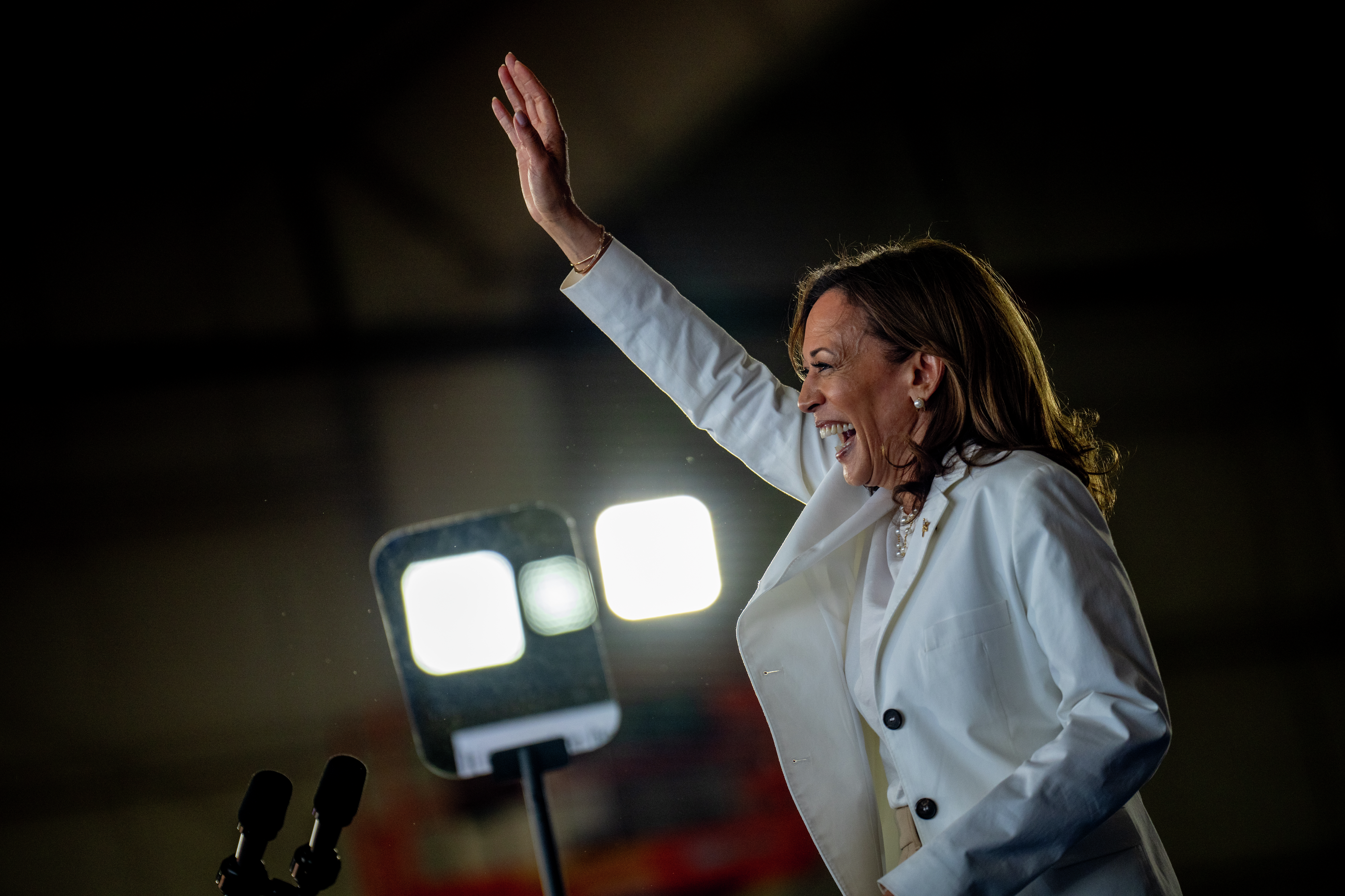 What Her Highness Kamala Harris Thinks about You