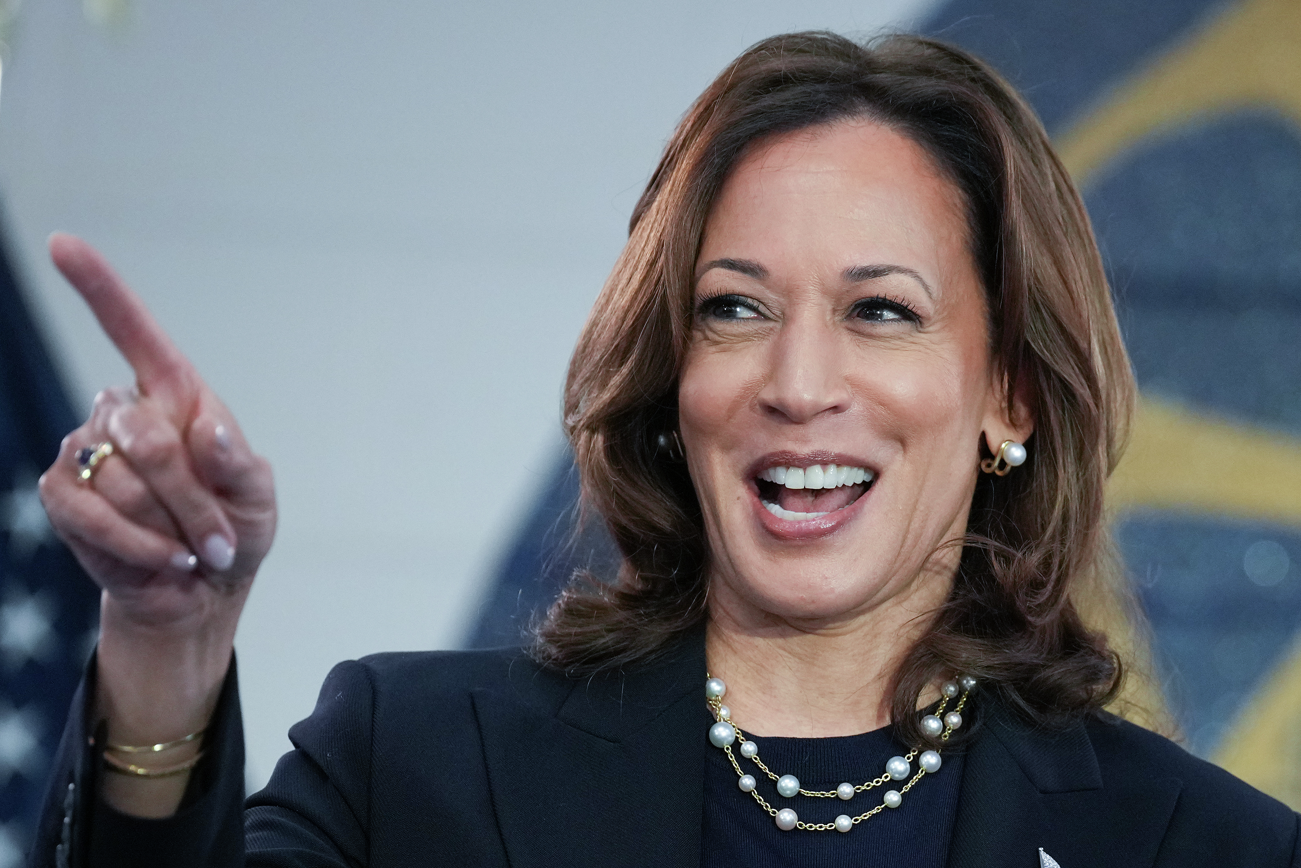 Kamala Harris 'The Collective'