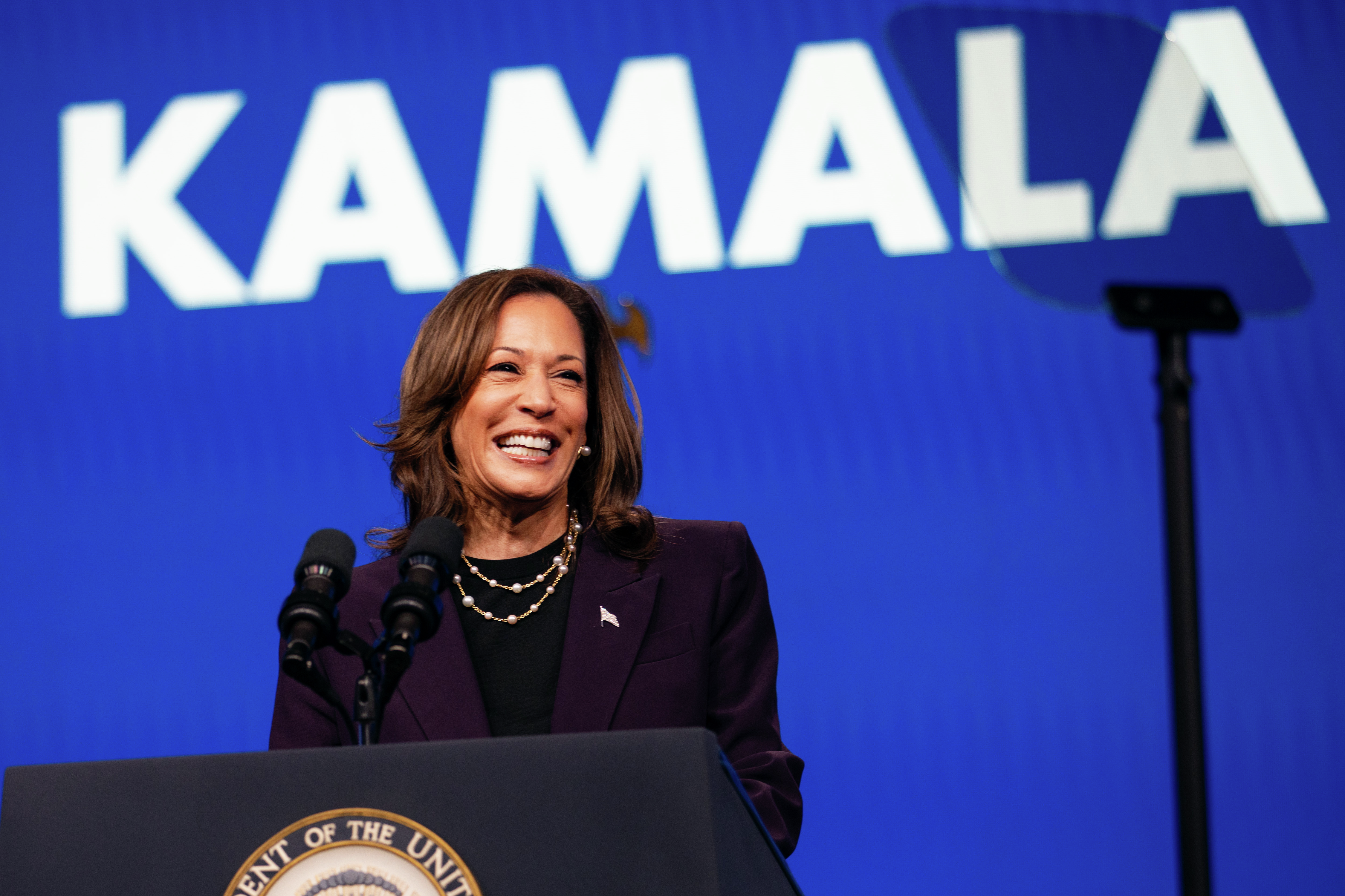 Kamala's Fragile Approval Rating