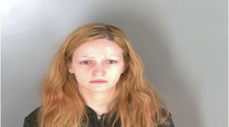 Macomb County woman faces up to life in prison if convicted for stabbing boyfriend