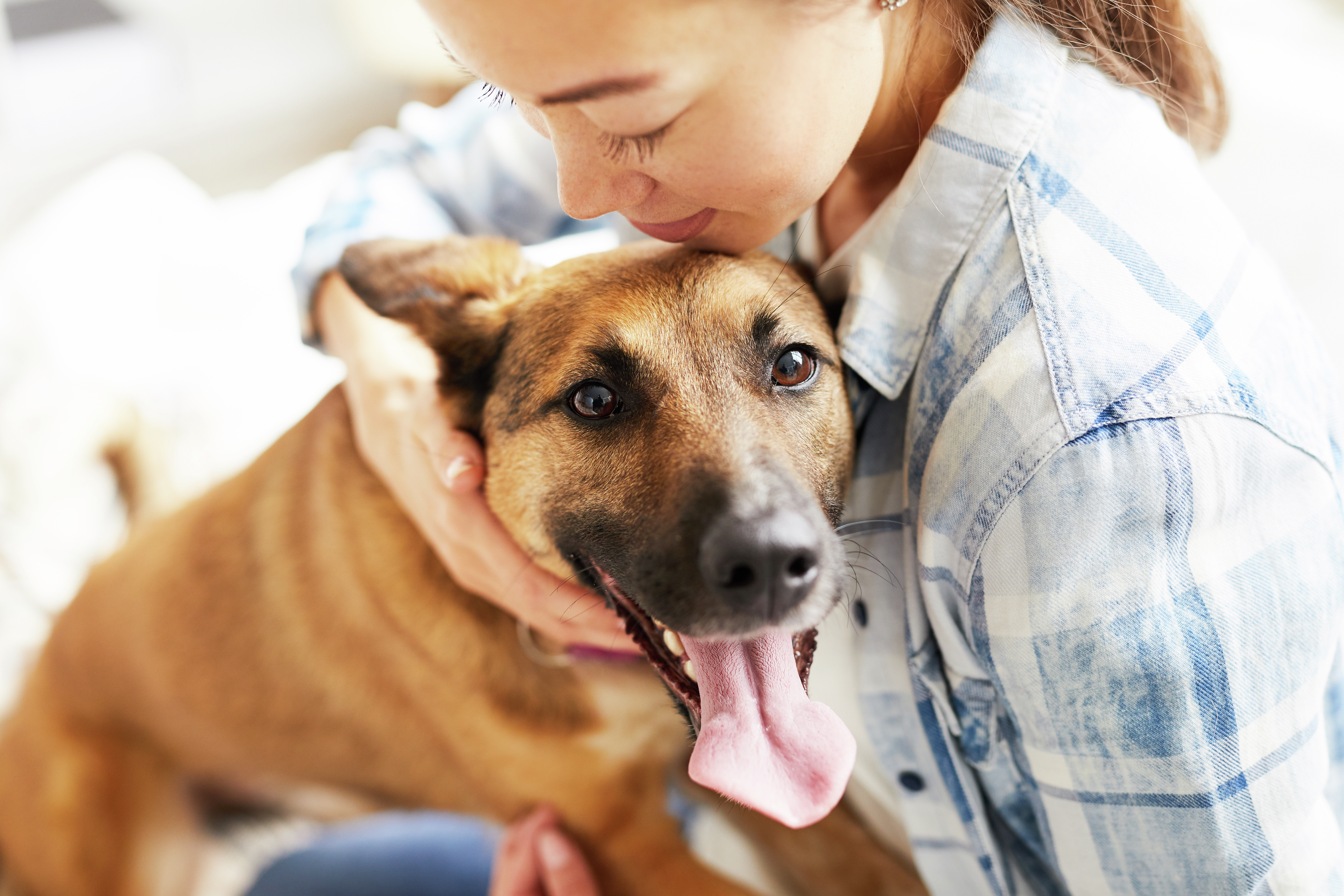 Dozens of Michigan animal shelters participating in annual "Empty the Shelters" event this month