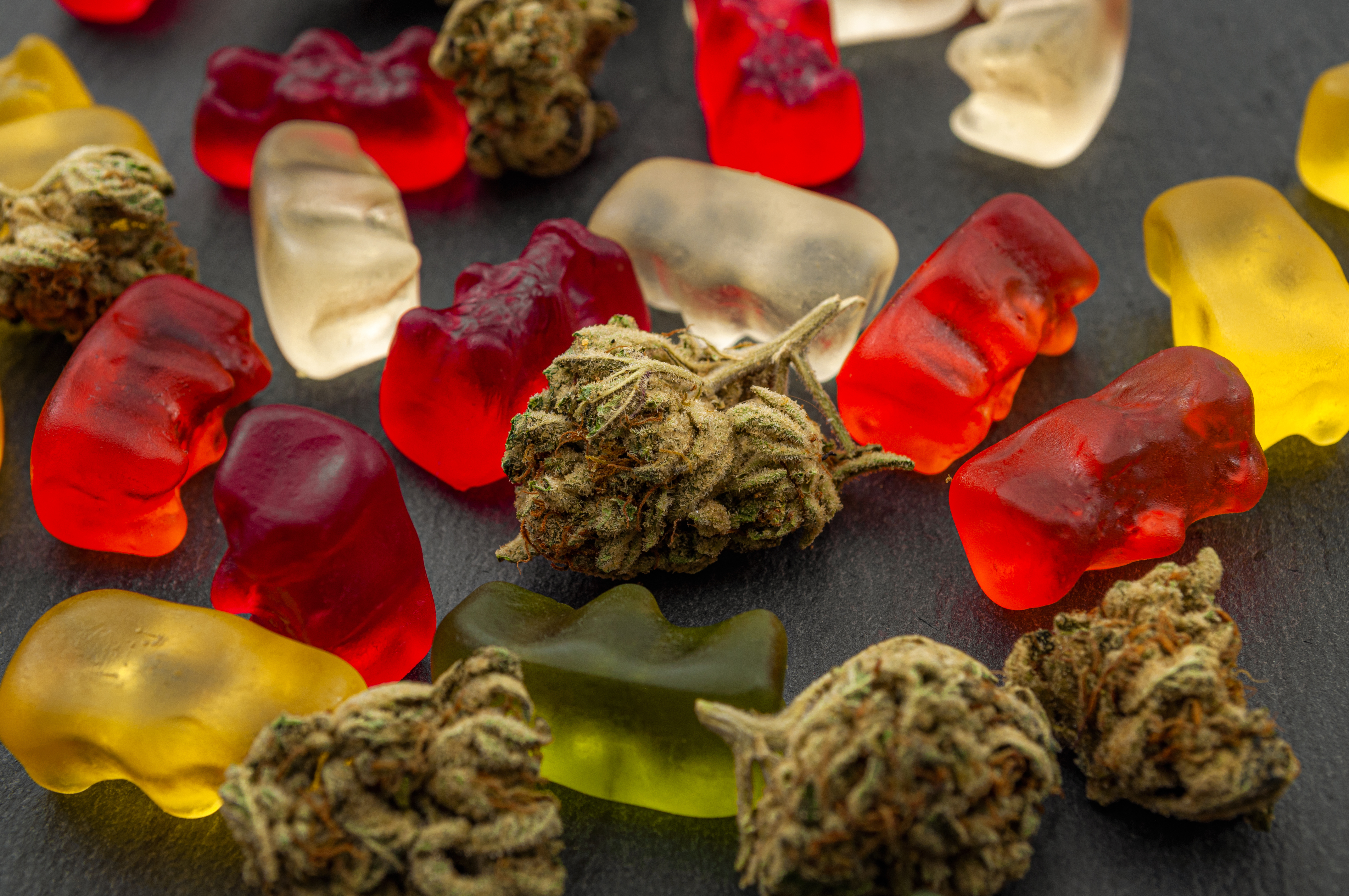 Group of Harper Woods middle school students fall ill after ingesting weed gummies at school