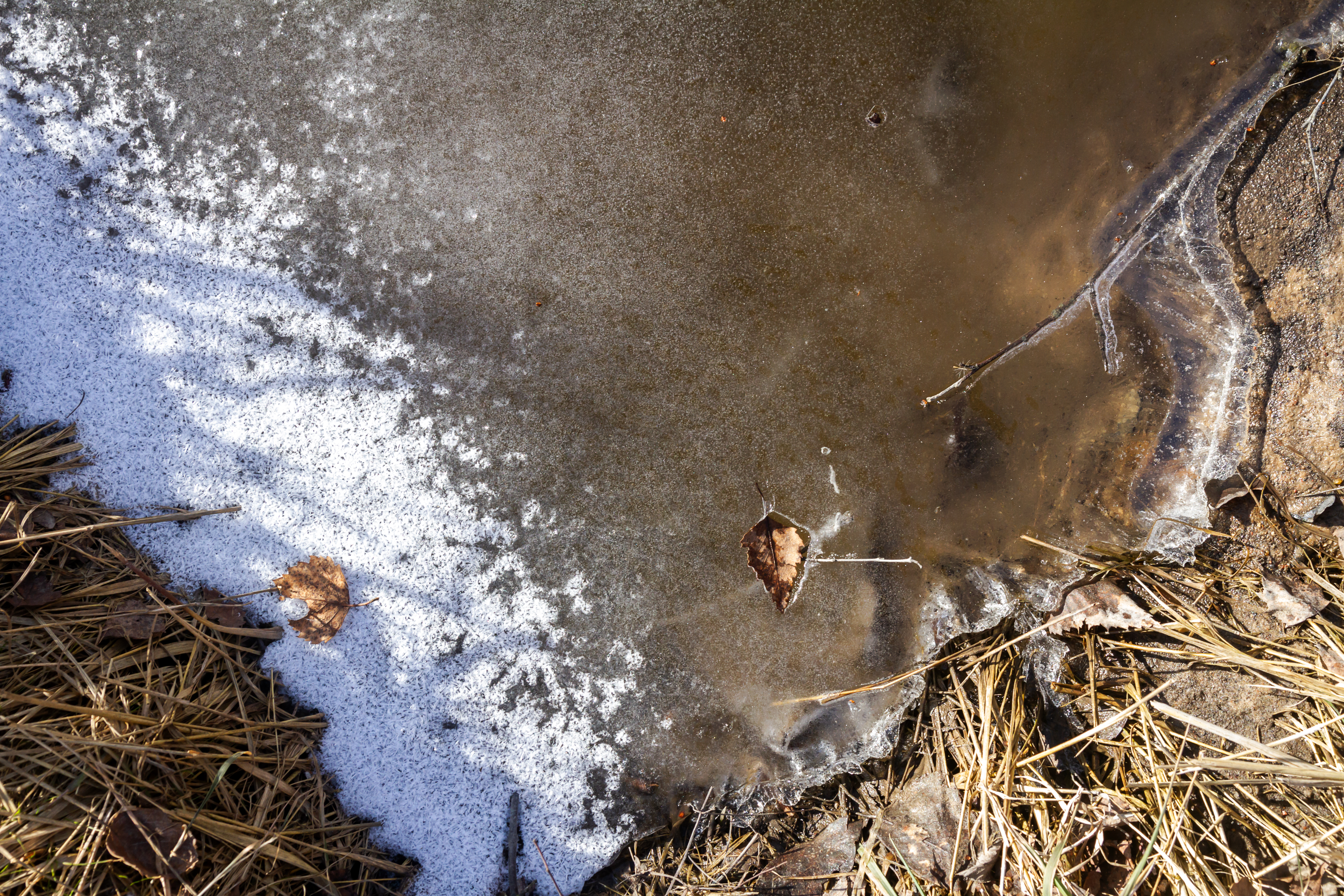 12-year-old boy rescued after falling through ice on Monroe County pond