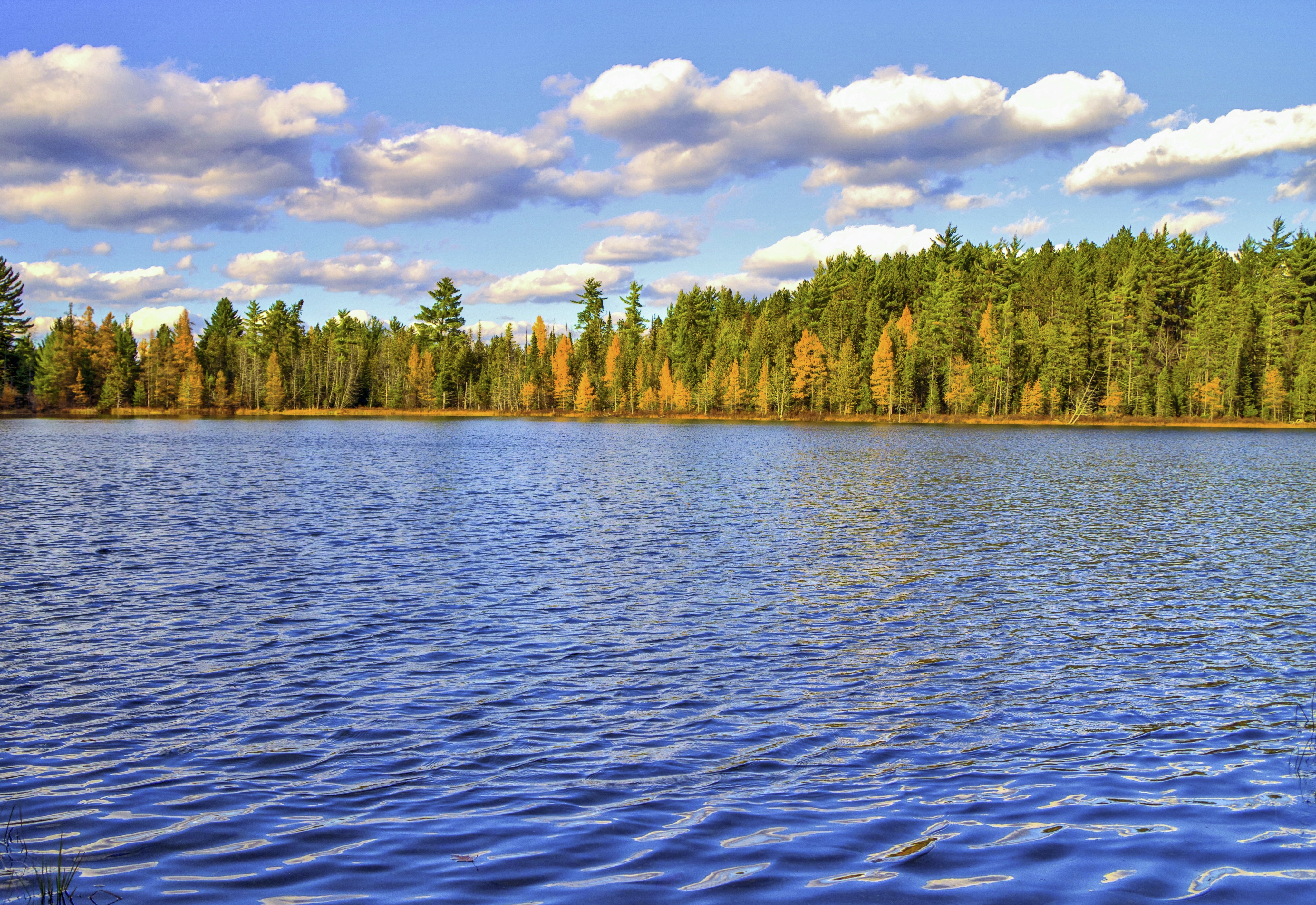 Michigan DNR auctioning off nearly 100 properties across the state