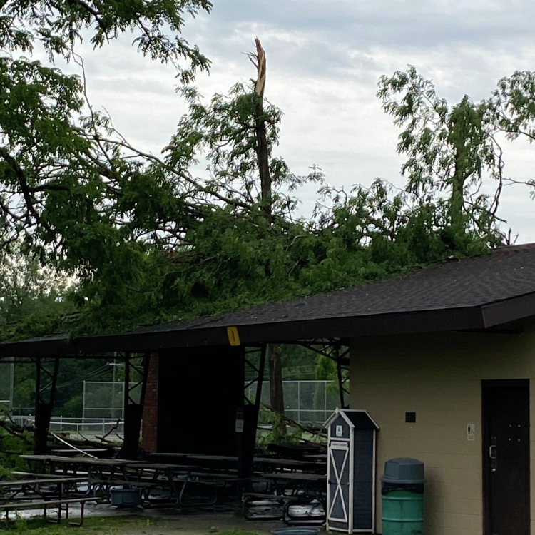 Child killed after tree falls on house, National Weather Service confirms tornado in Livonia