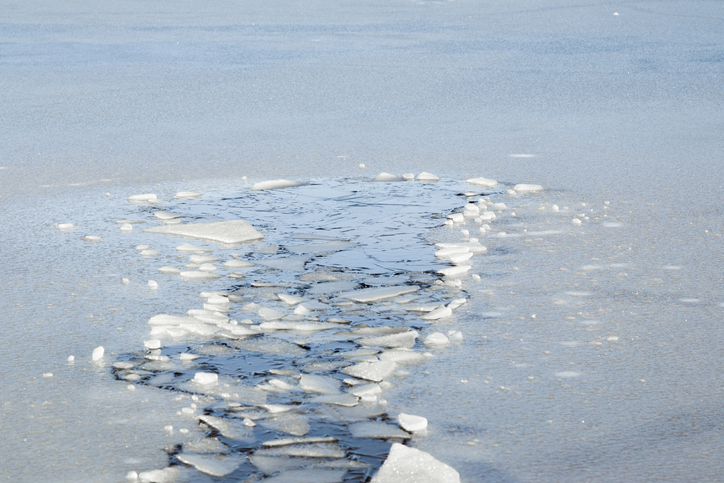 One woman dead after intentionally driving her car into the Detroit River