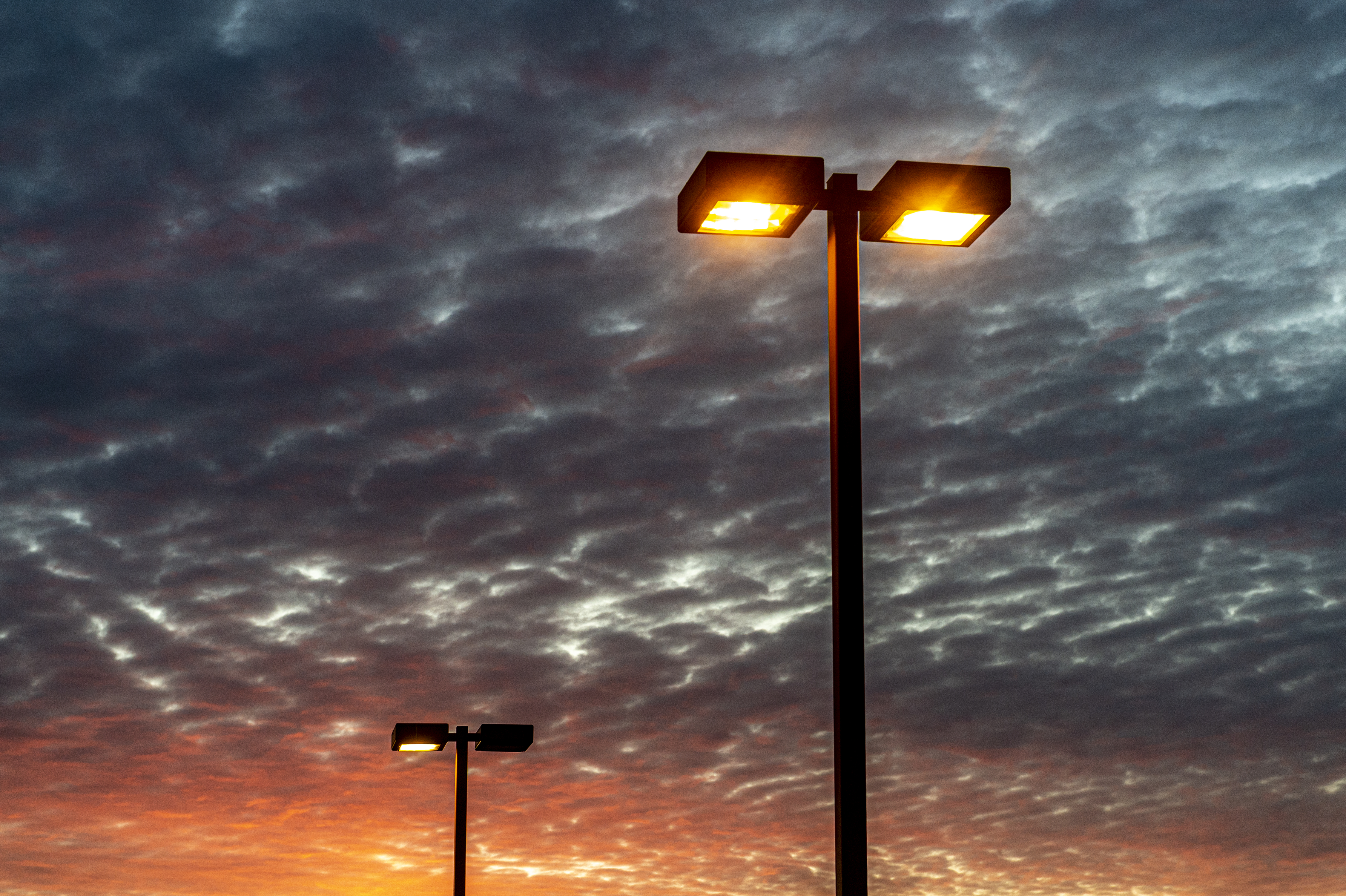 Farmington Hills Kroger goes from common parking lot to rave party due to haywire lights