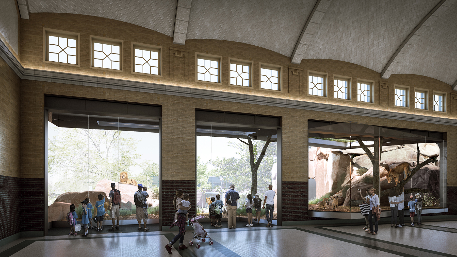 New, improved lion house coming to Lincoln Park Zoo