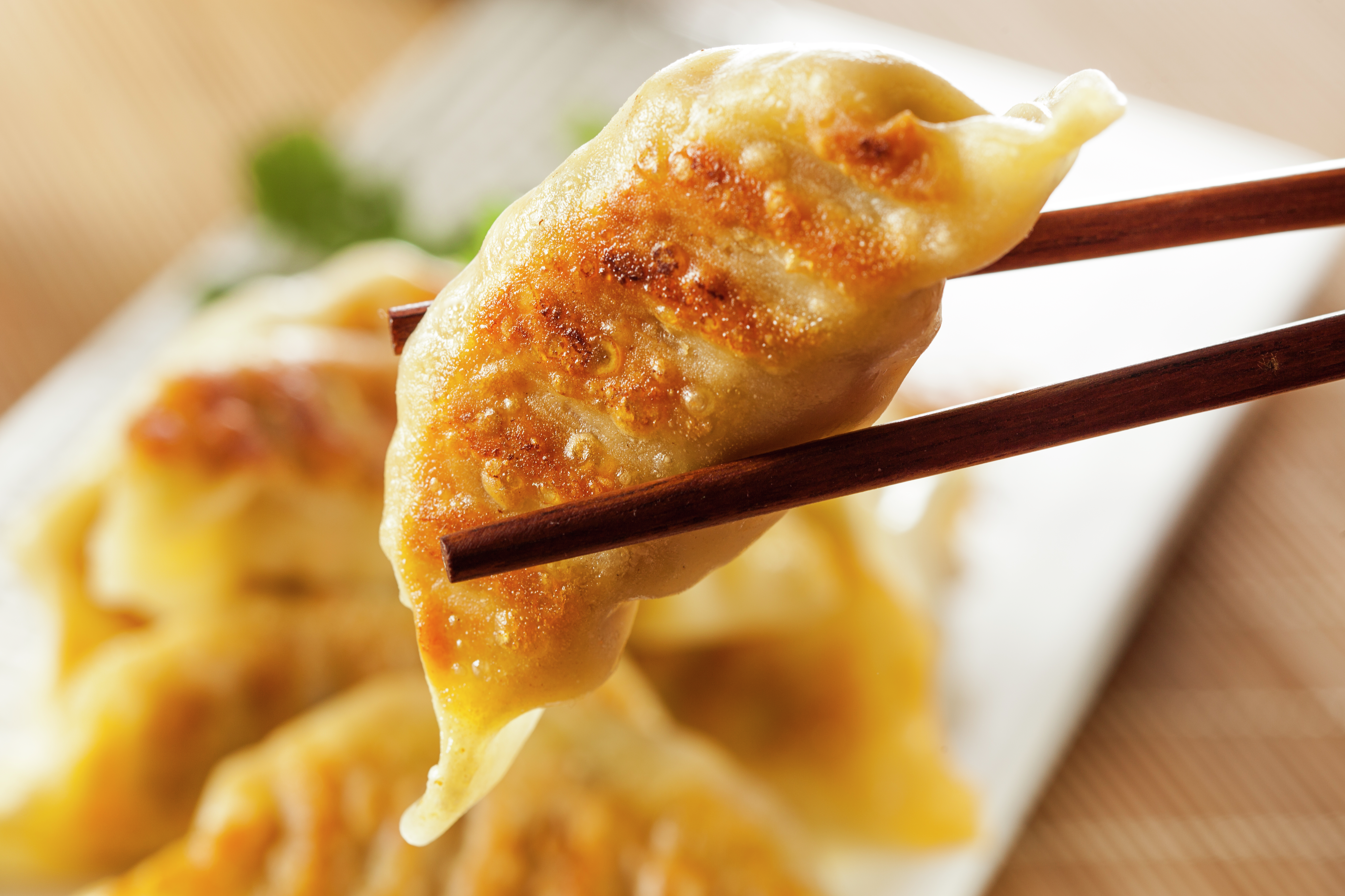 World Dumpling Fest returns to Chicago this weekend