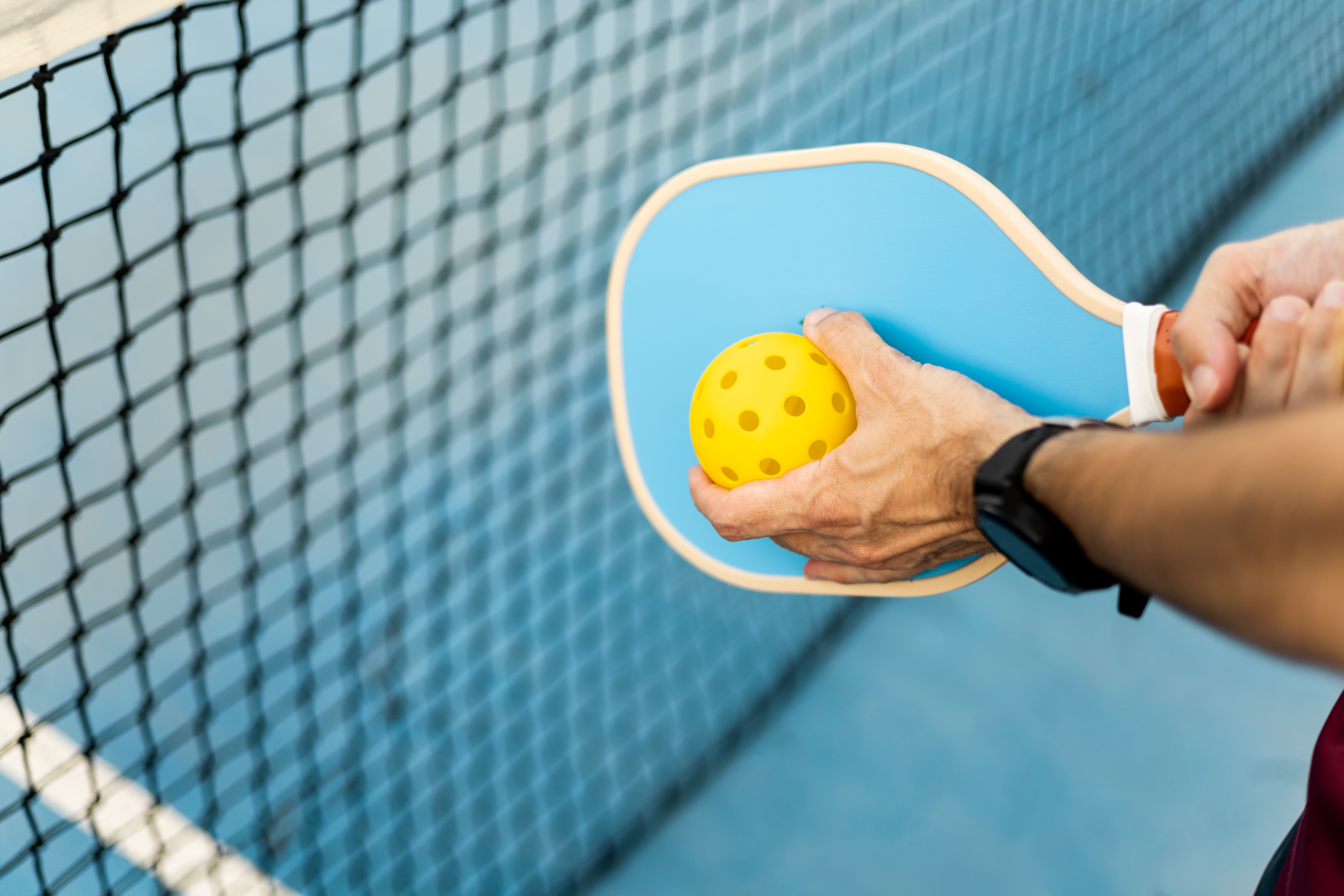 Pickleball courts in Northwest suburbs temporarily close due to bad behavior