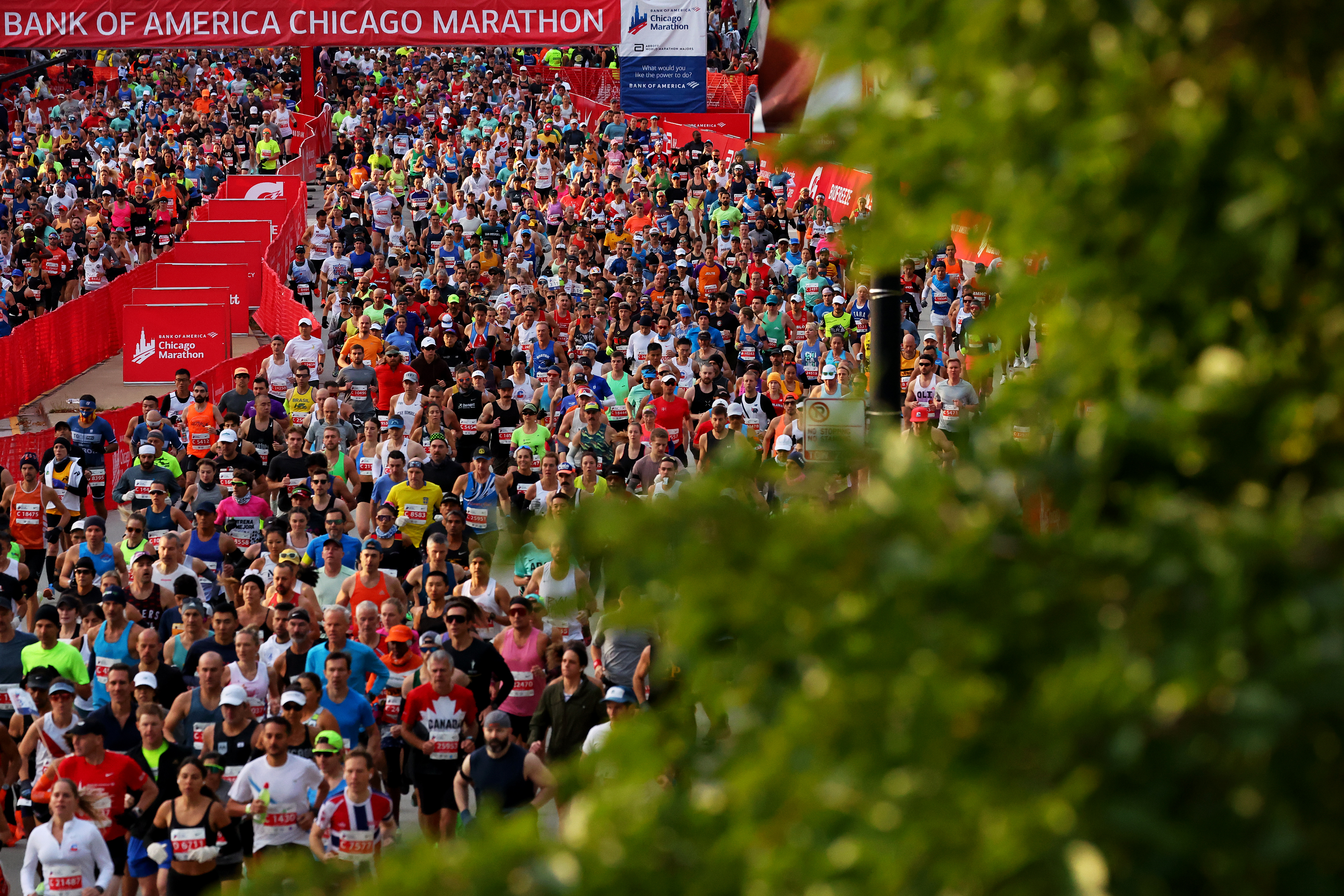 Chicago Marathon draws record number of applicants