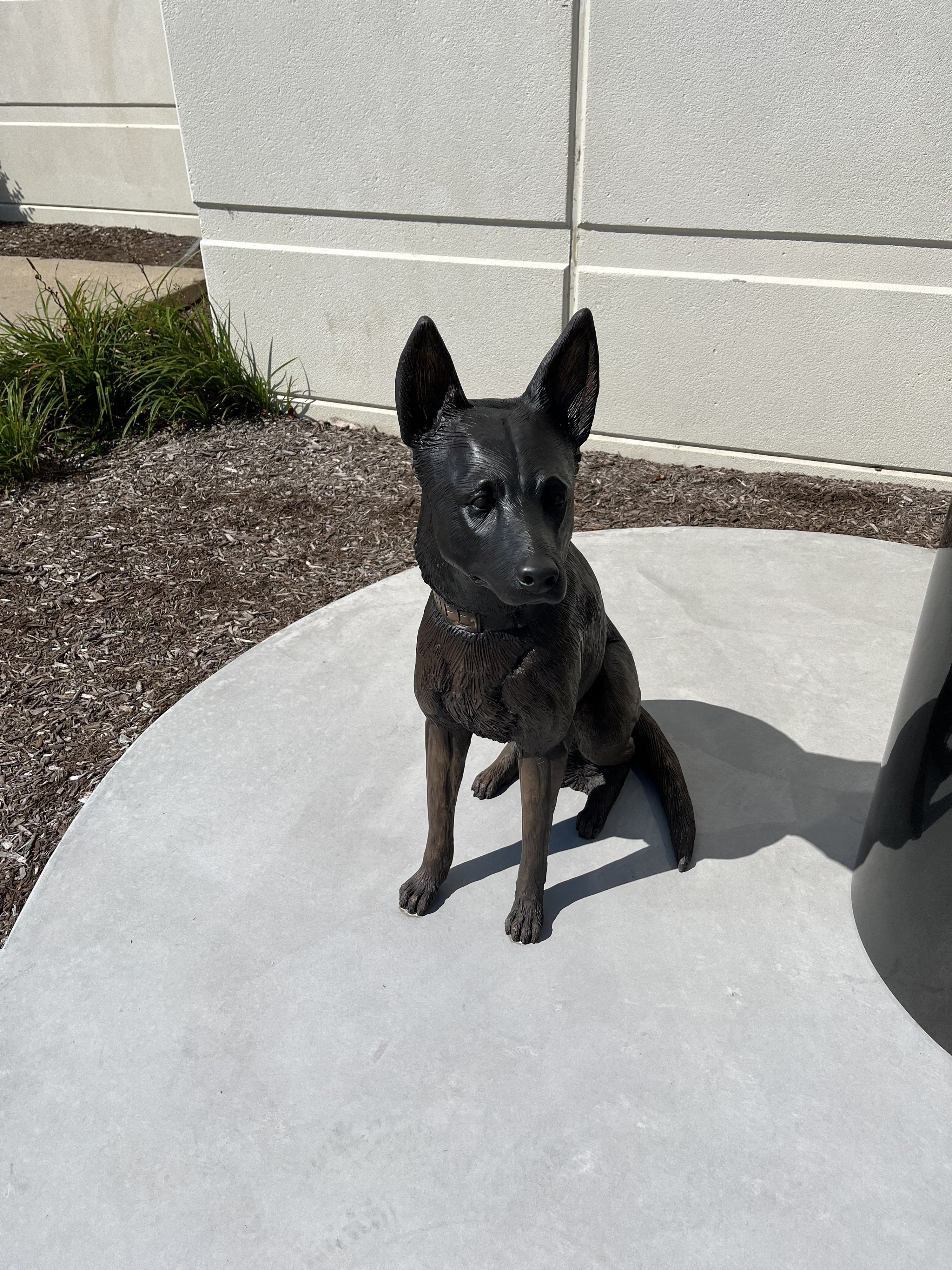 Memorial held for police dog killed in the line of duty