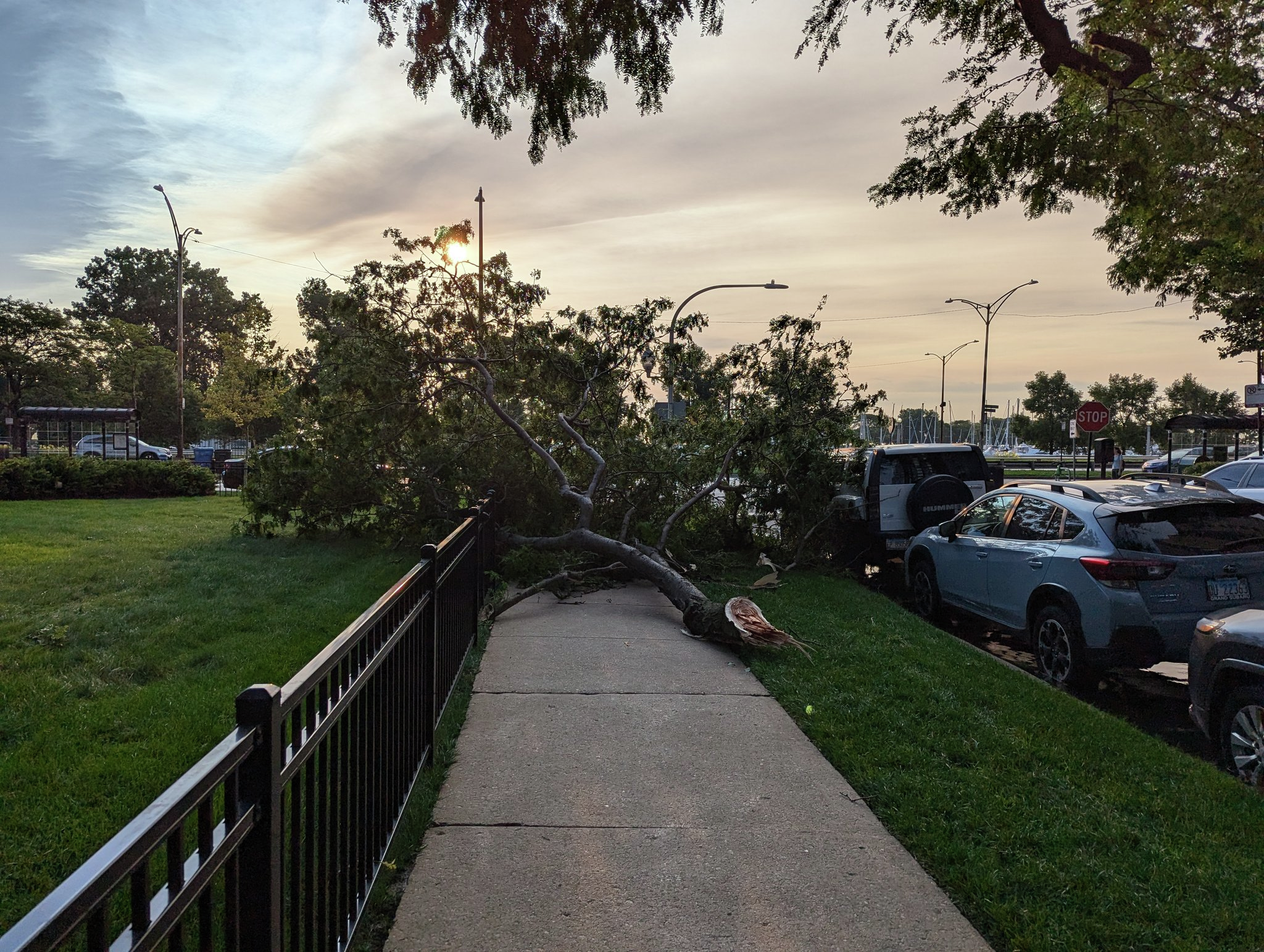 WEATHER: Severe weather blasts through Chicago area late last night