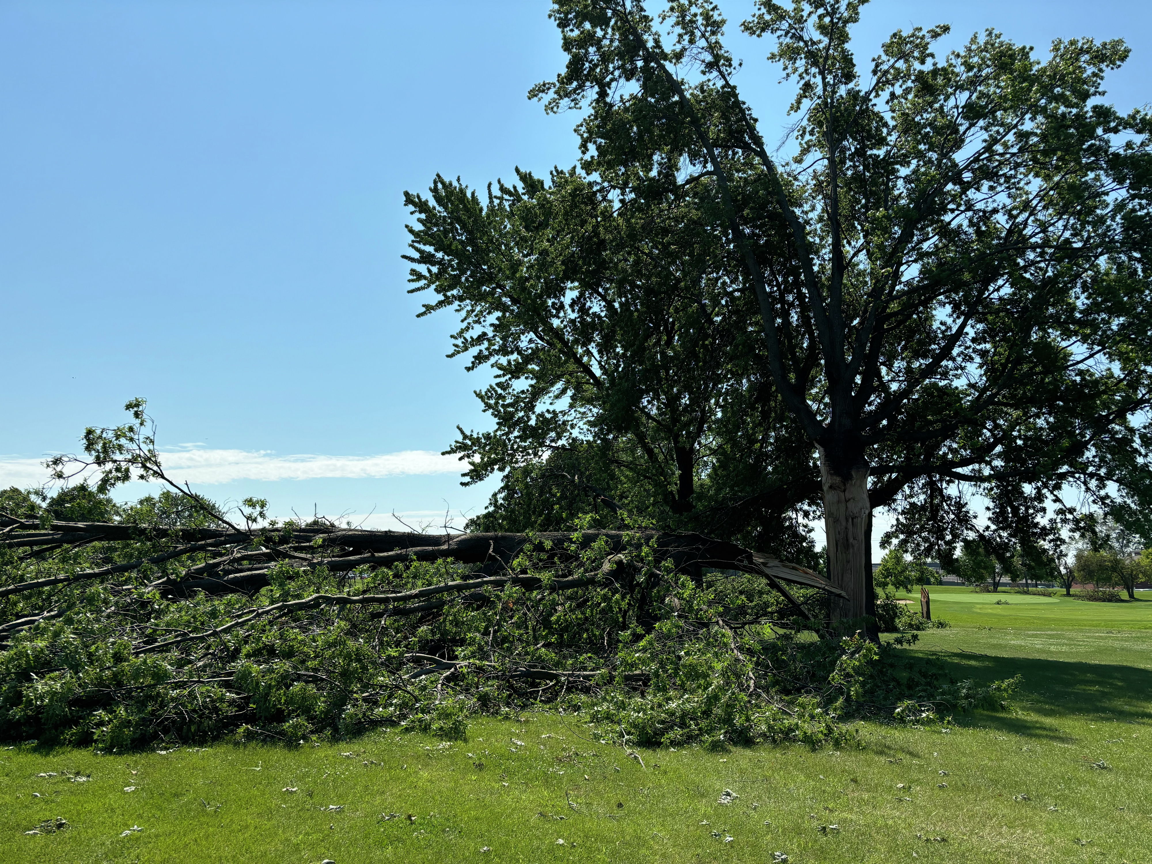 Crews at Inwood Golf Course work to cleanup following severe weather this week
