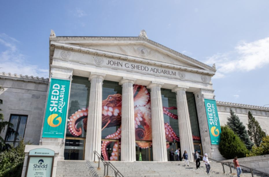 Shedd Aquarium workers claim union busting as they attempt to form a union