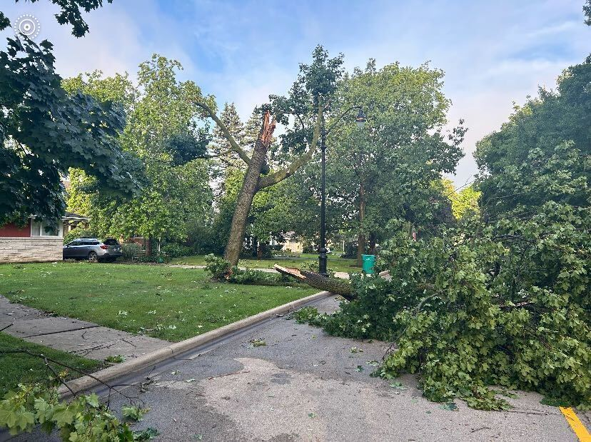 More tornadoes confirmed throughout Illinois from Monday's storms, NWS says