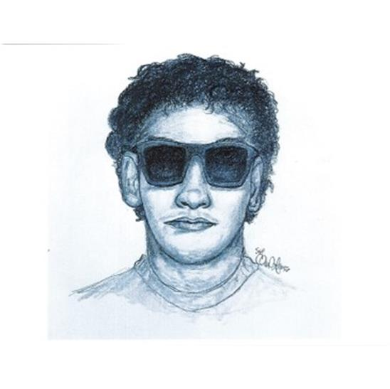 Police looking for suspect who attacked woman jogging on a North side trail