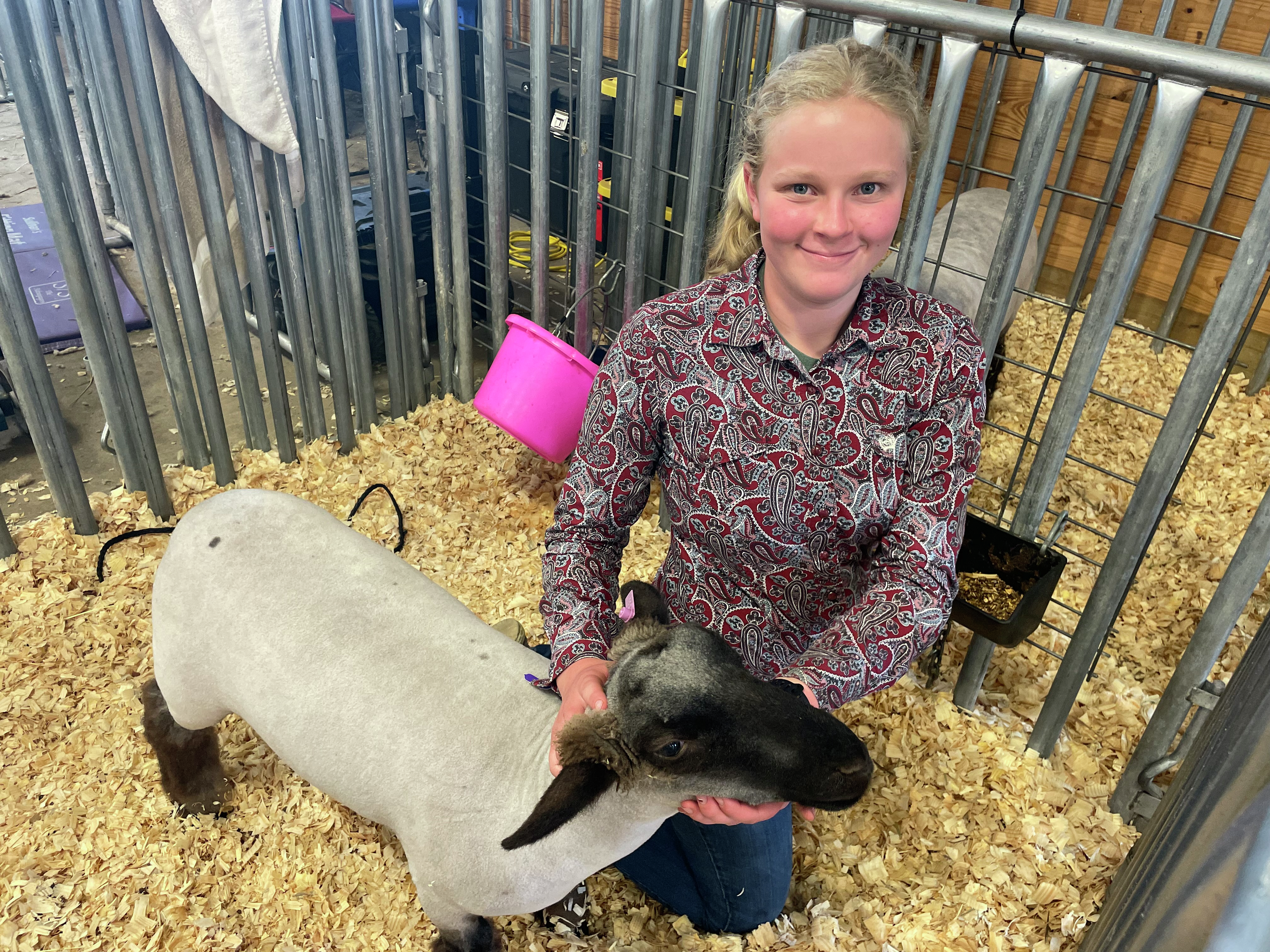 13-year-old Jolene Mesch from Collins on showing livestock at the Erie County Fair