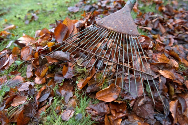 Put Down The Rake: Warm weather does not mean it's time for lawncare