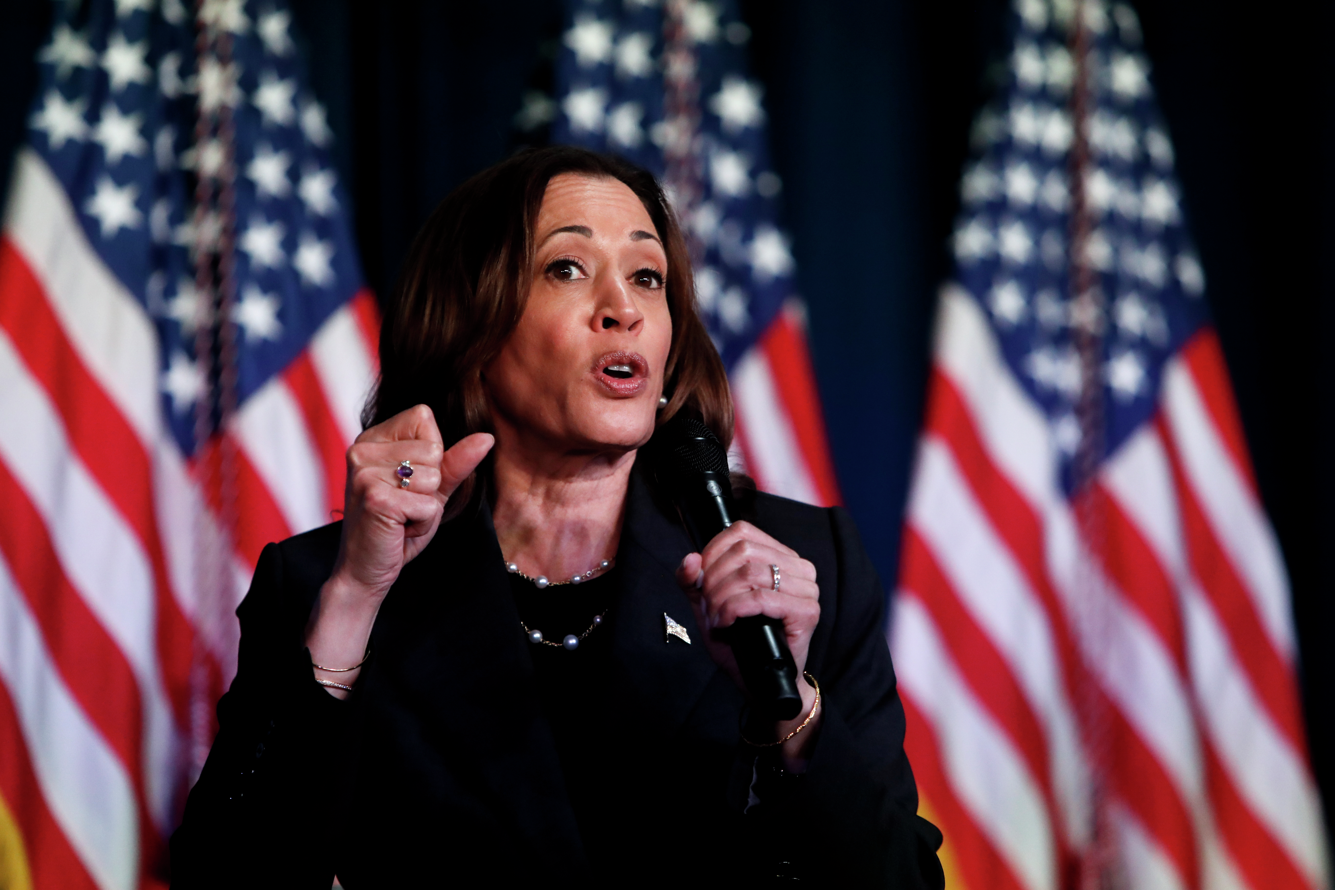 Will Kamala's Socialistic Ecomonic Policy Work with Moderates?