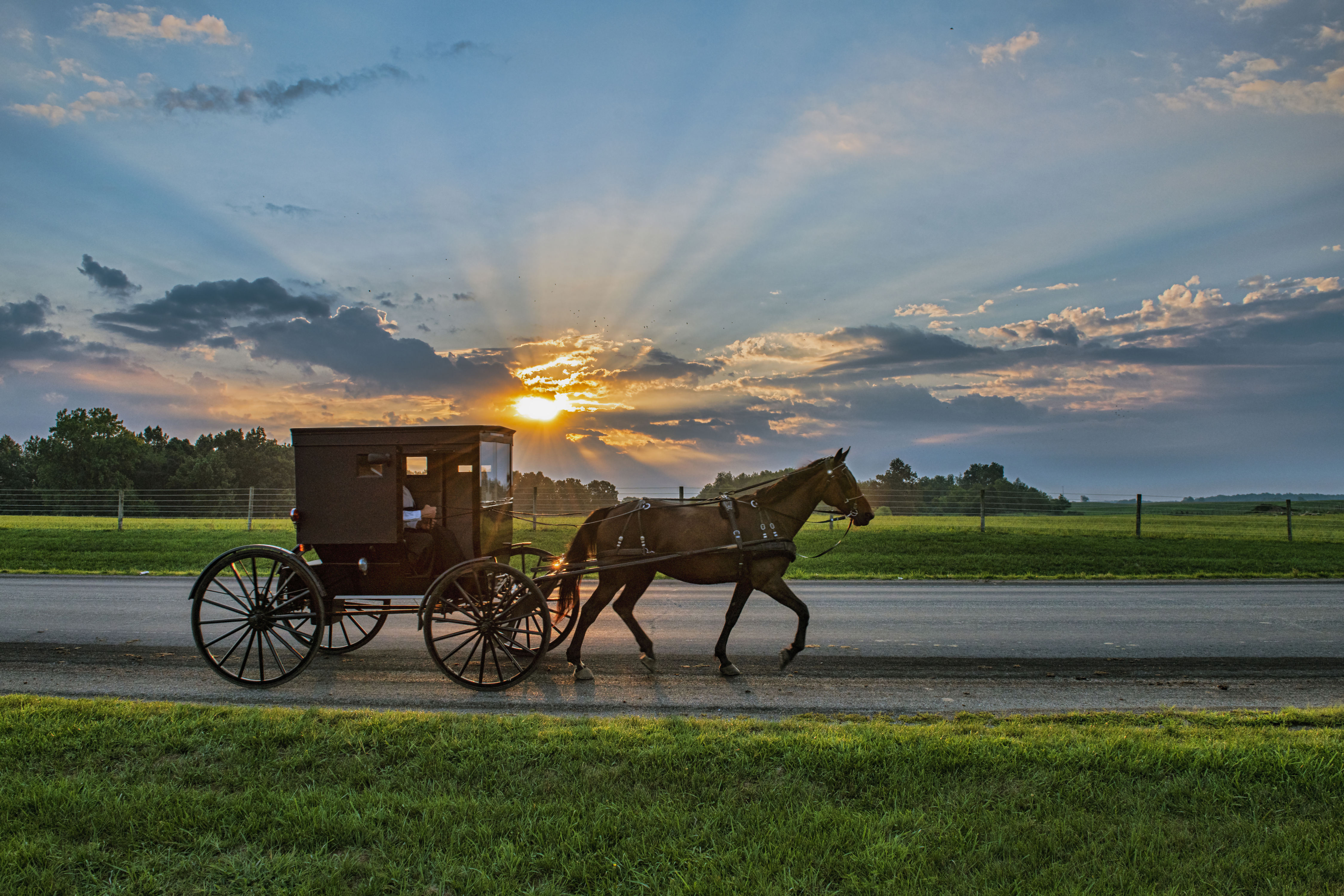 Scott Presler Wants Your Help Helping the Amish