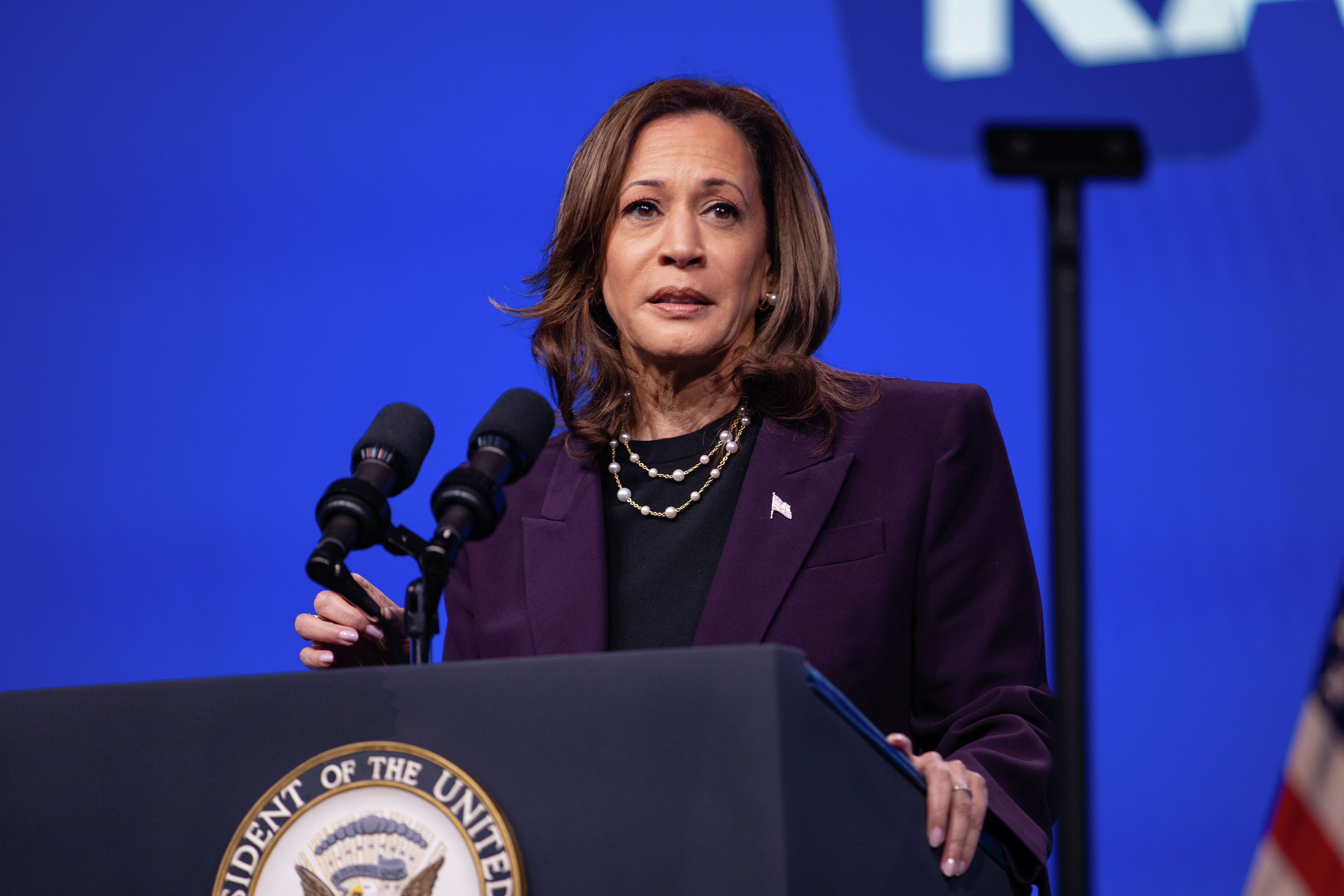 Kamala Plans to 'Prosecute' Corporations... Isn't That Socialism?