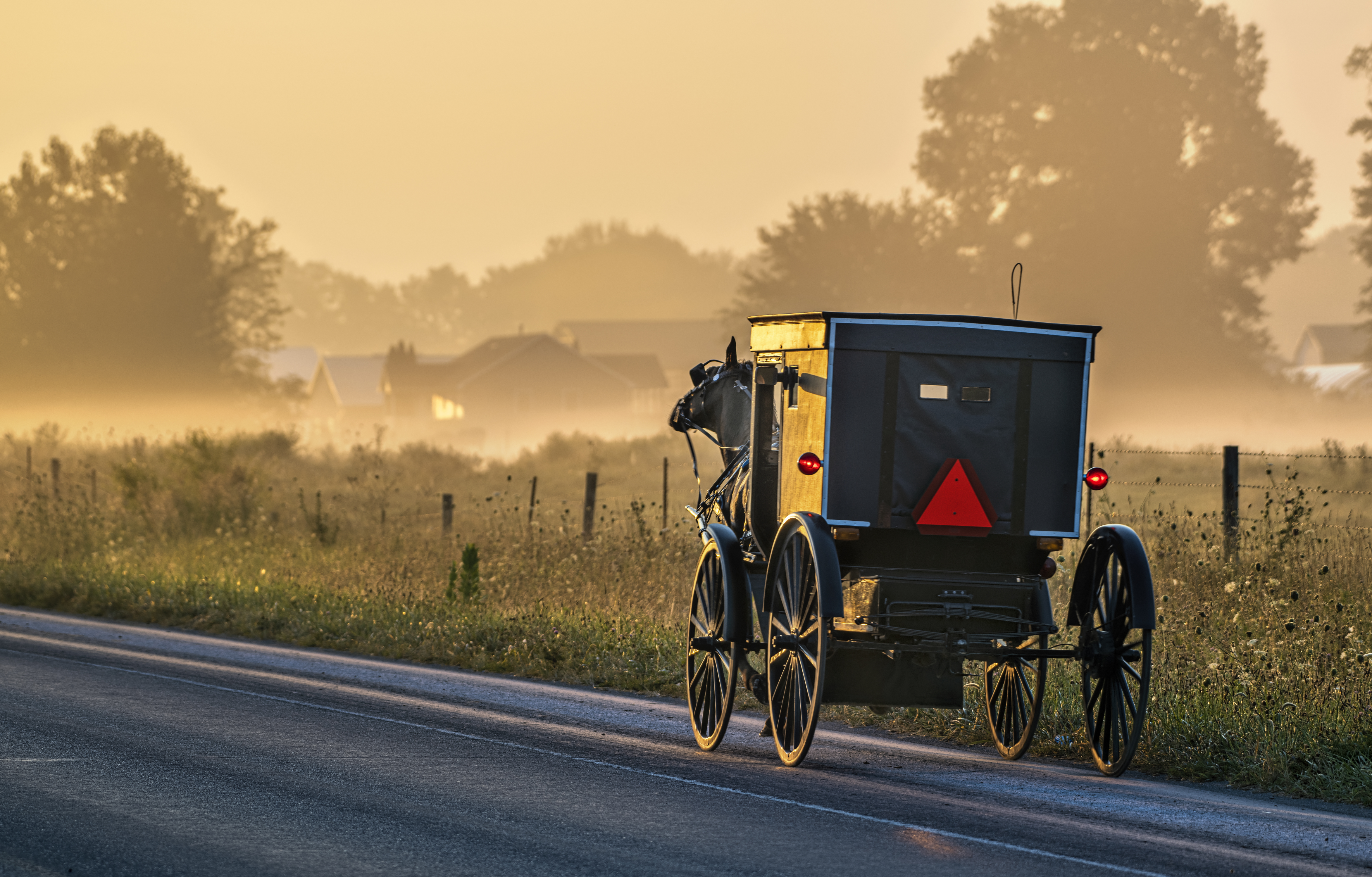 Scott Presler Wants the Amish and the Expatriate Vote!