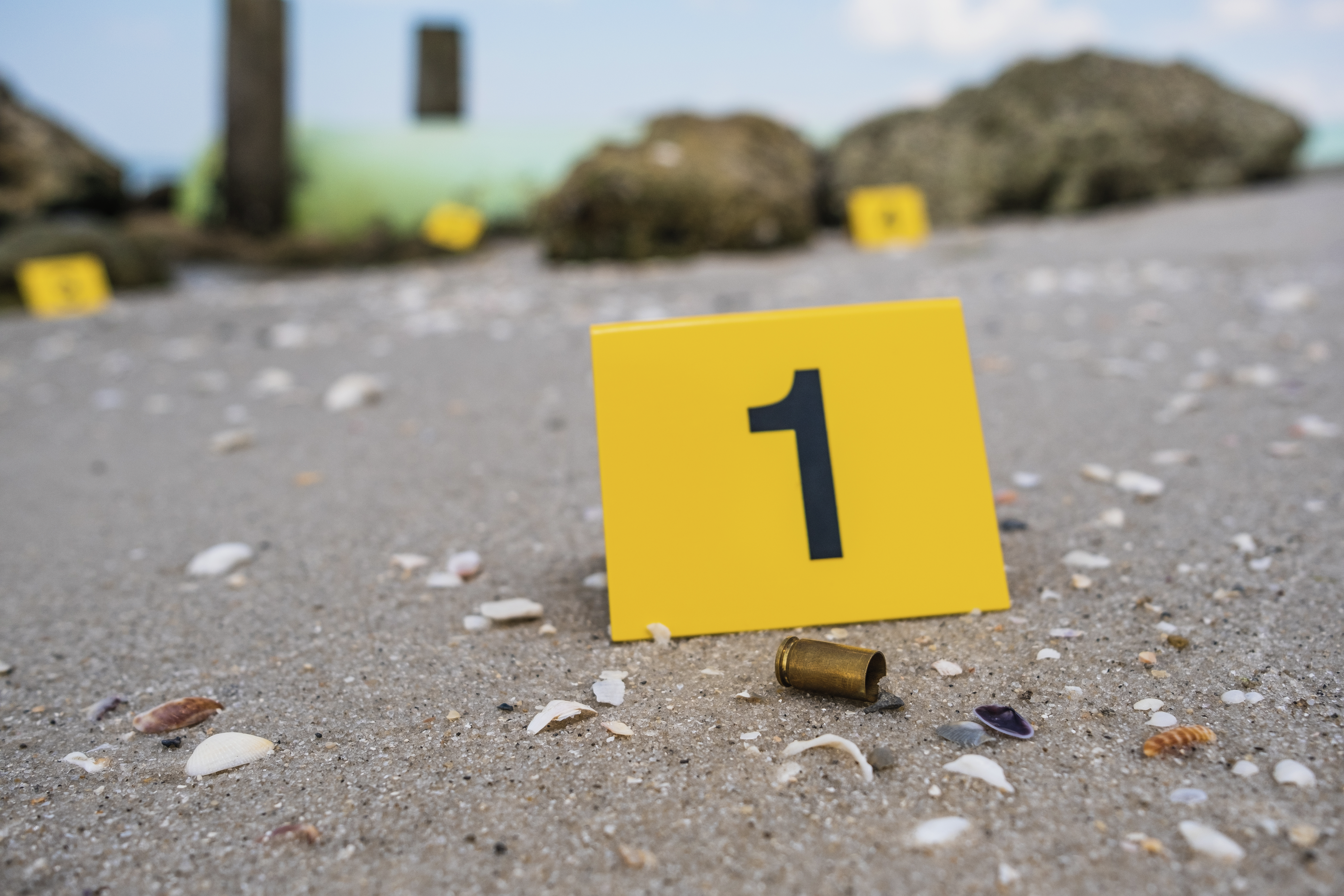 14-year-old girl among 3 shot on South Side beach