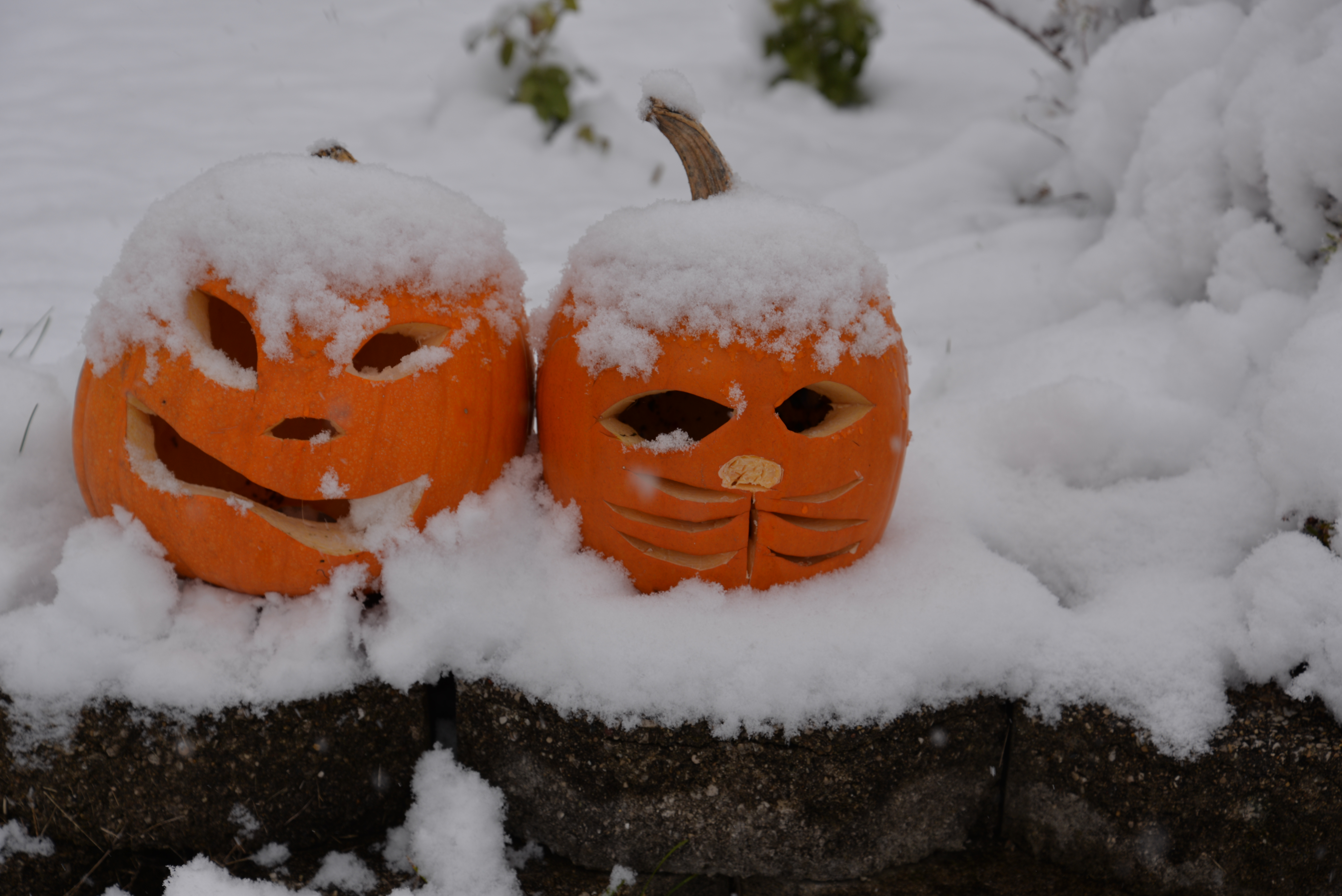 Snow for Halloween in Chicago area