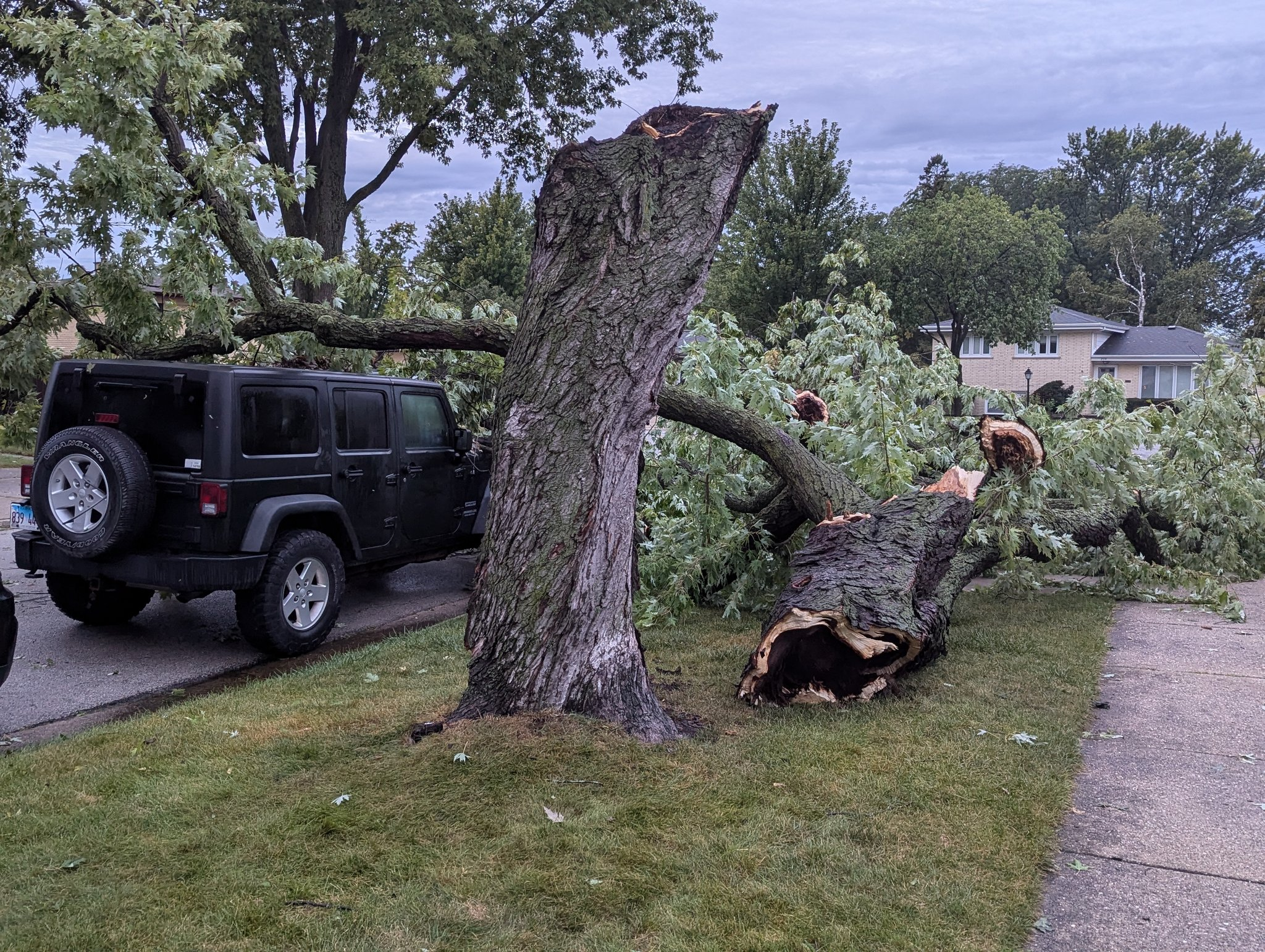 Strong storms wreak havoc in Des Plaines