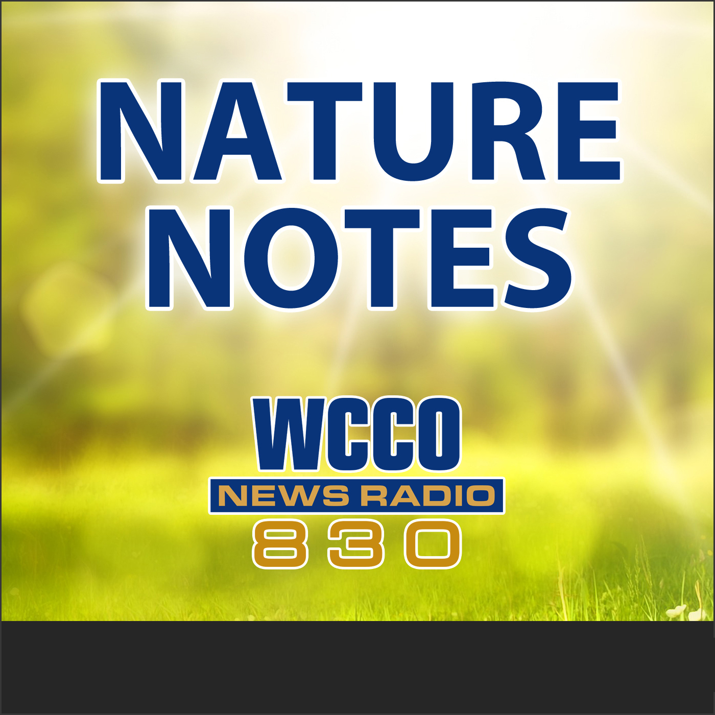 5-5-19 NATURE NOTES