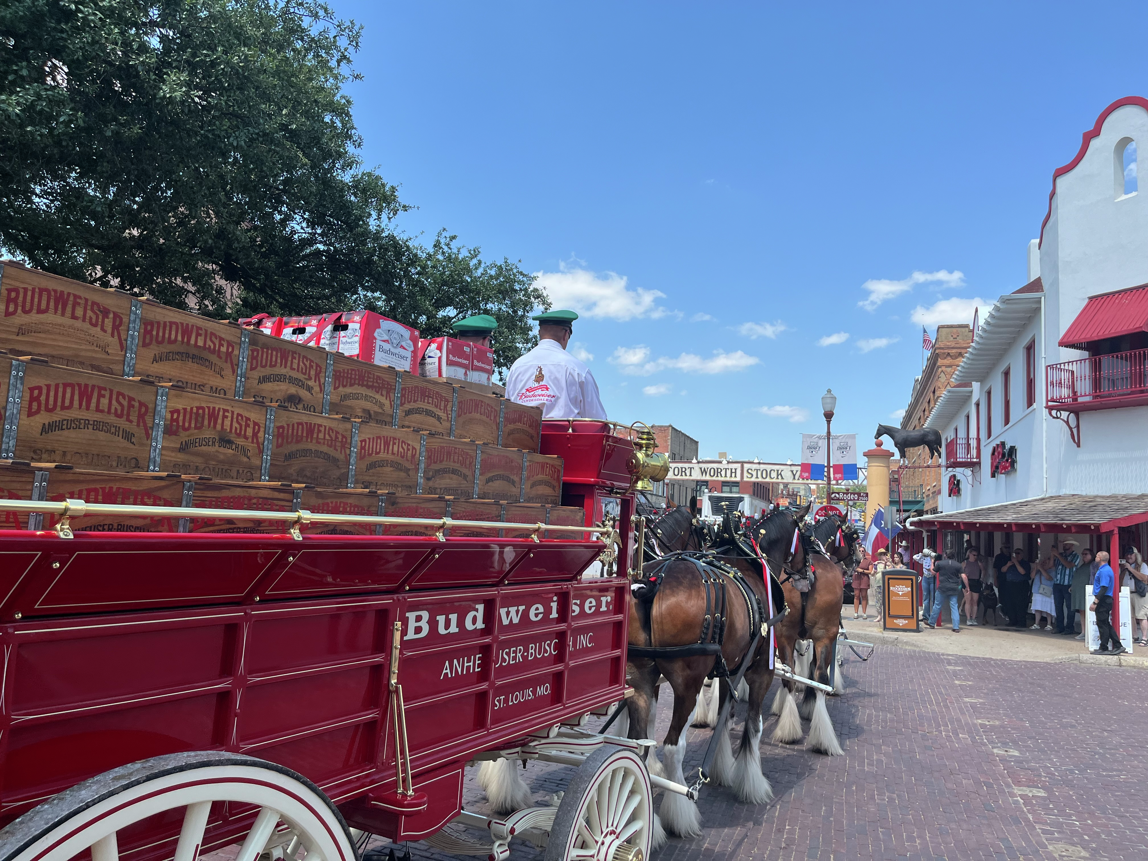 Budweiser Clydesdales arrive in North Texas for All-Star Game