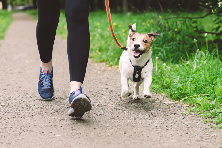 This app tracks your walks, steps and your dog's too