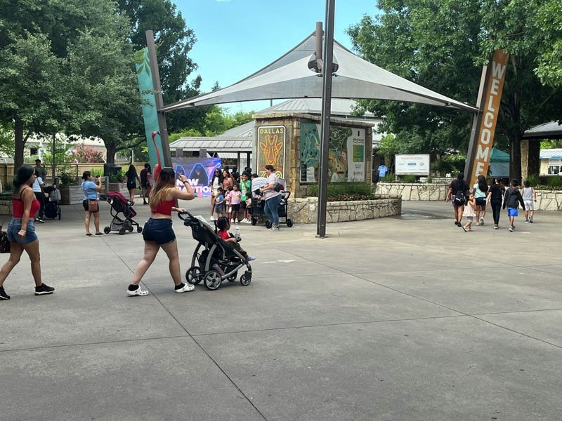 Dallas Zoo modifies hours of operation to accommodate for the hot summer