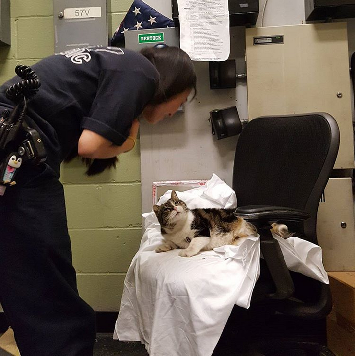 GoFundMe raises money for FDNY EMS Station 57 Cat