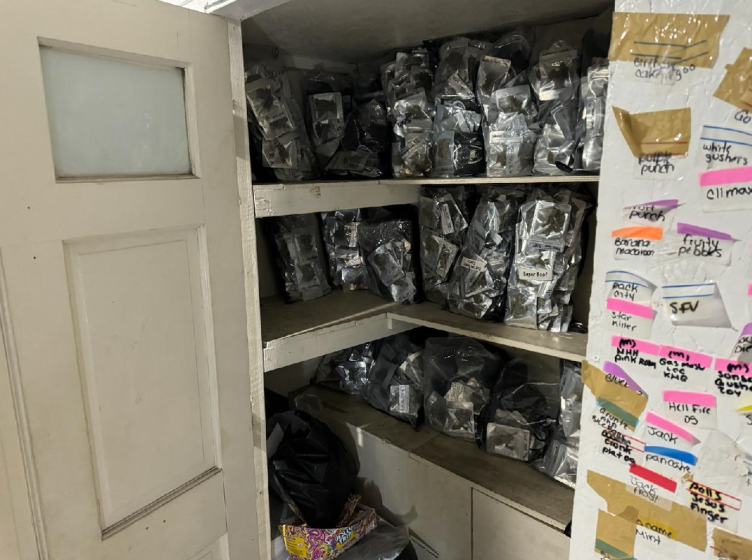 NYPD seize illegal cannabis products in Bronx drug bust