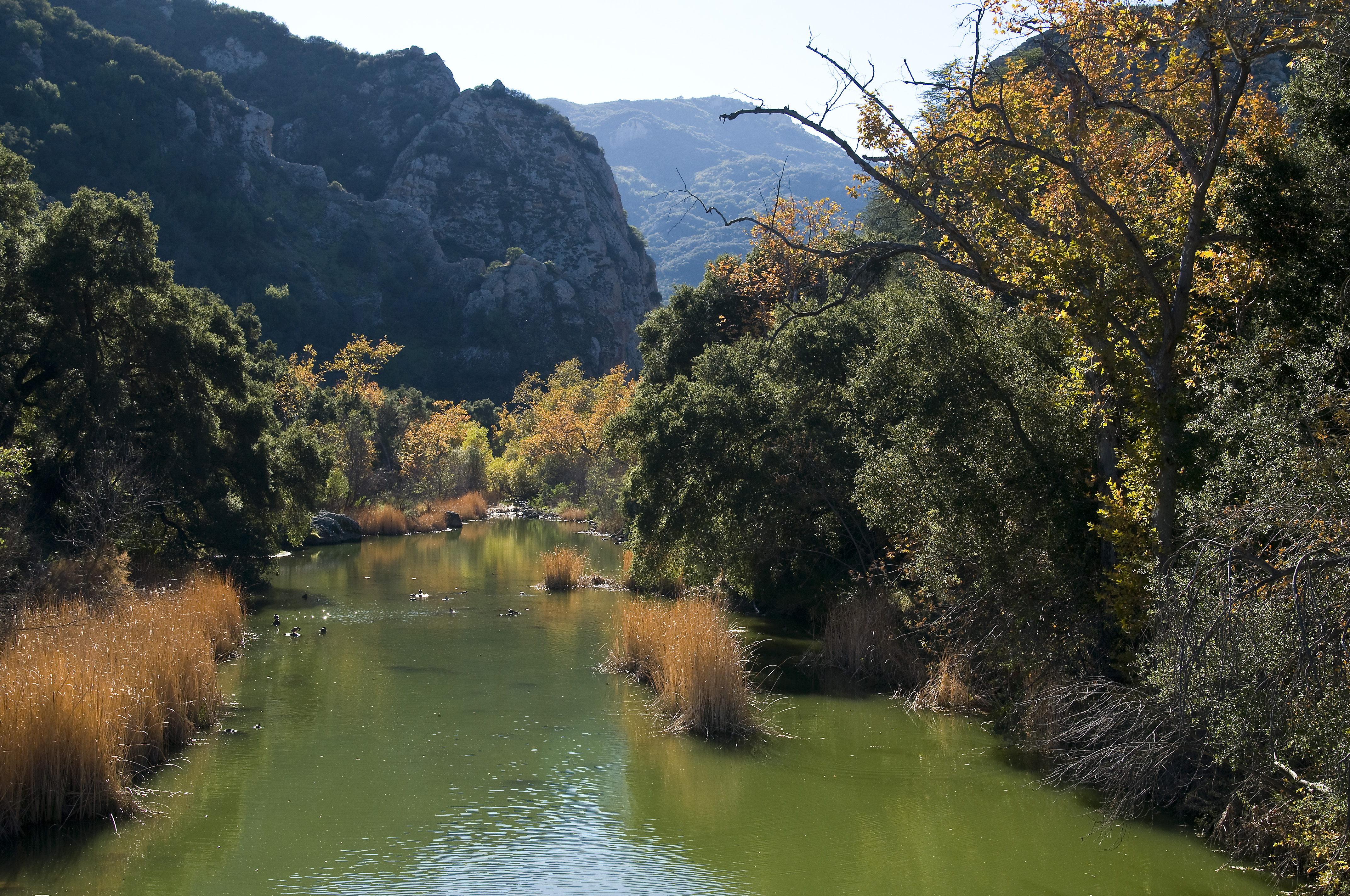 Planning beings to tear down a nearly 100-year-old defunct dam in the Malibu Creek wilderness