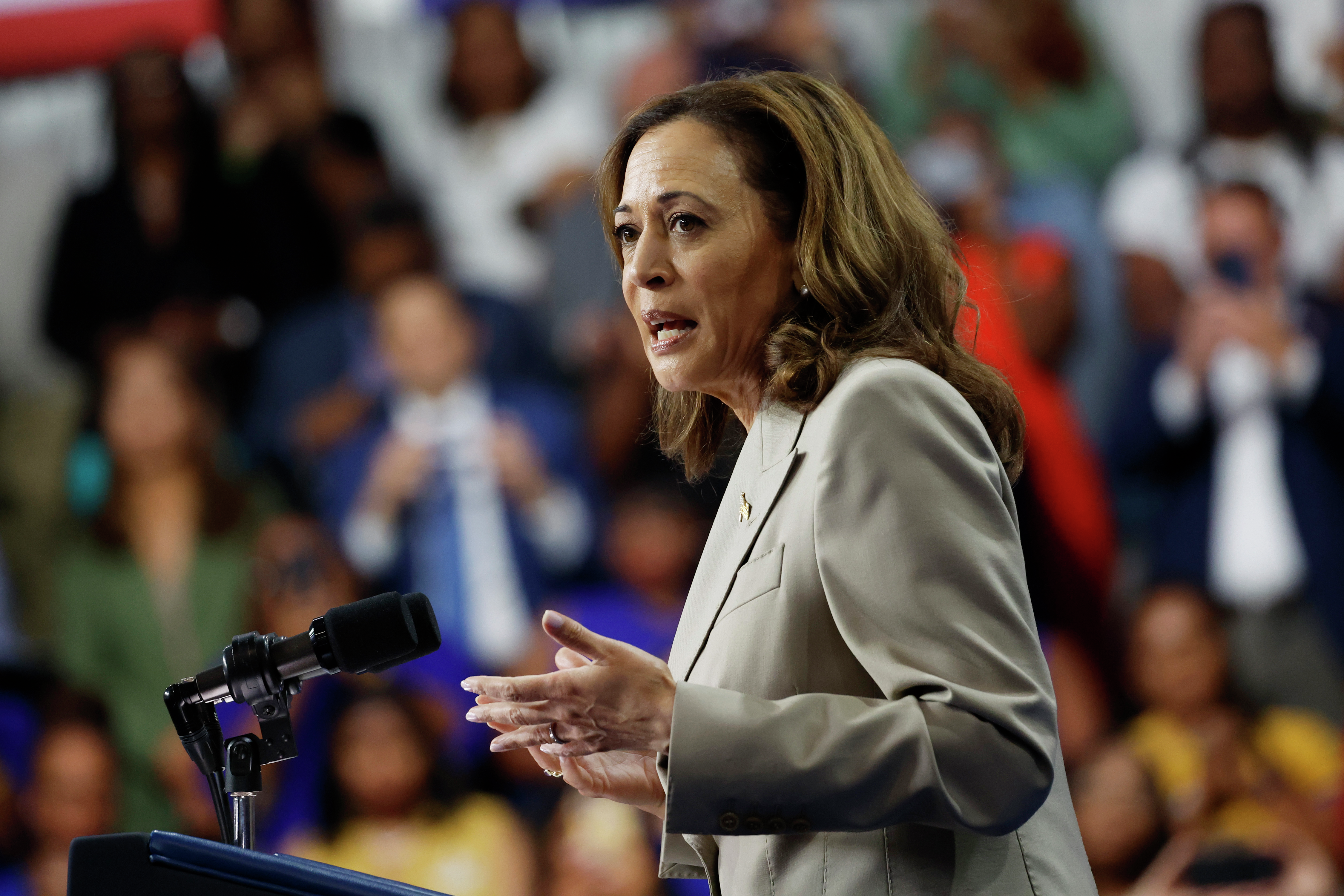 Assessing the Kamala Harris plan to combat food price gouging