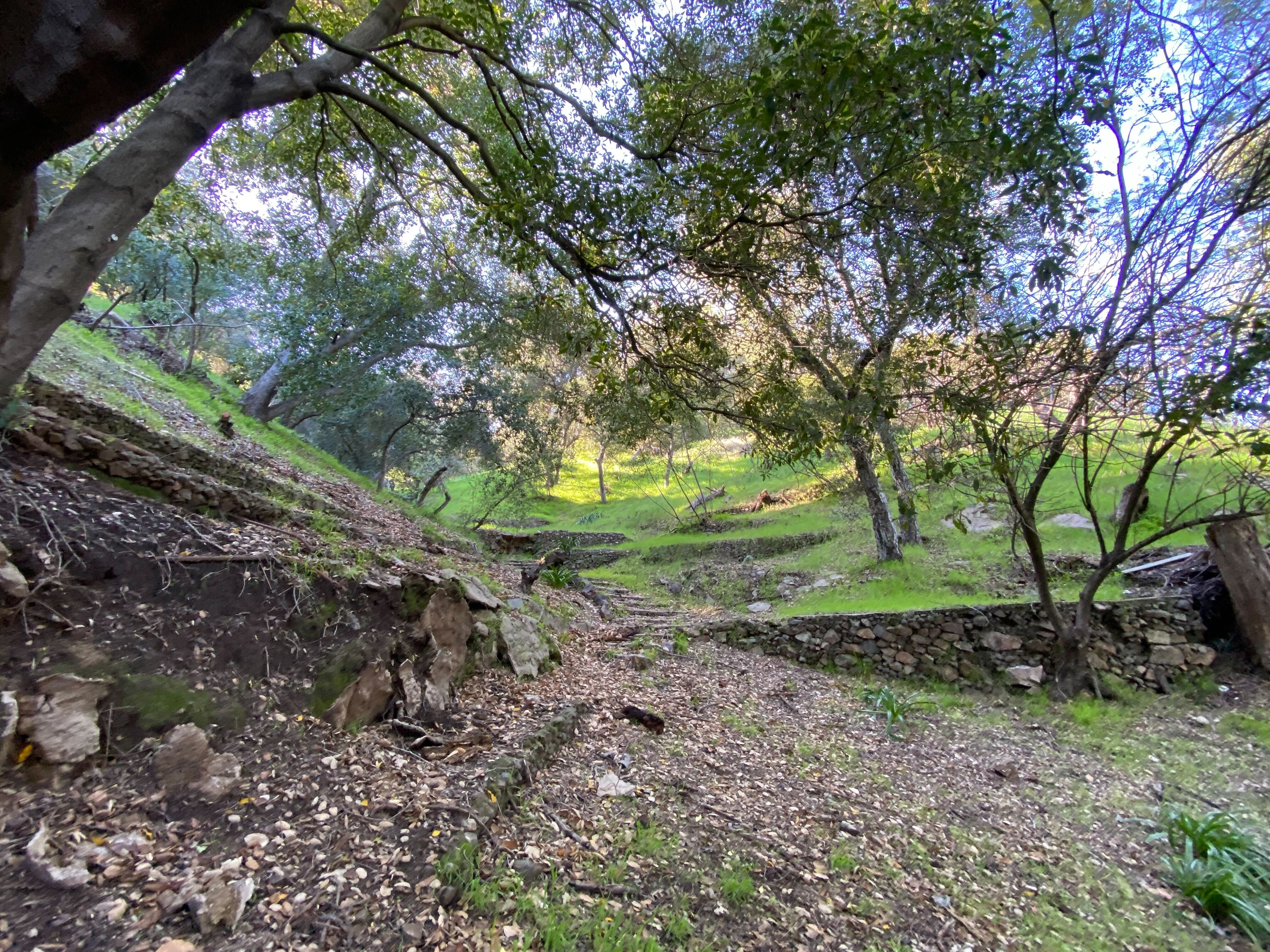 Non-profit raising $1 million to buy and preserve land in Laurel Canyon