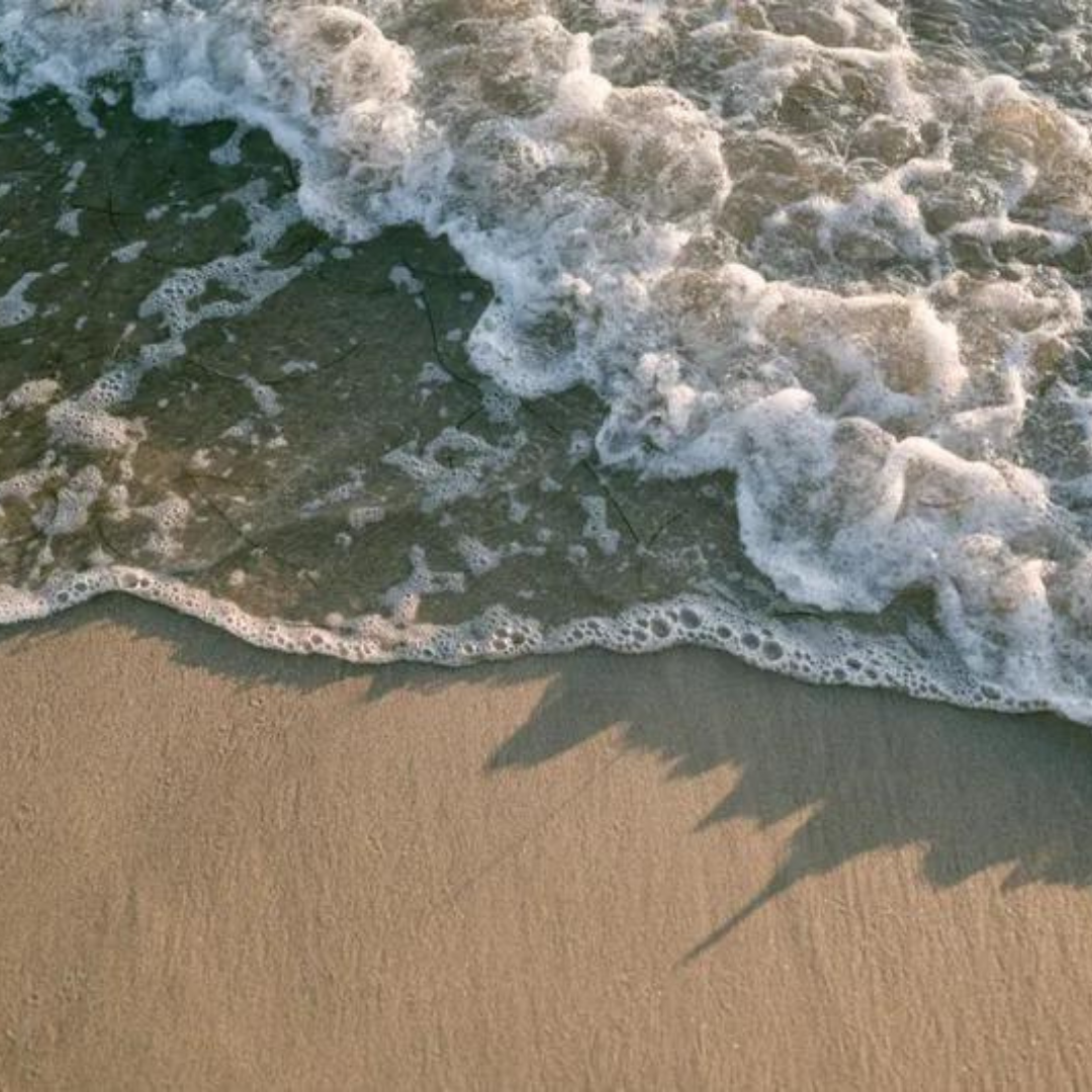 Beach water quality across Calif. declined 2023-24: report