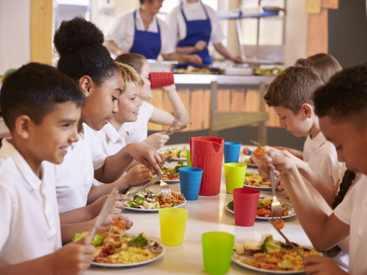 School lunch. Школьная столовая в Германии. Обед в немецкой школе. Столовые в школах Германии. Школьный обед в Германии.