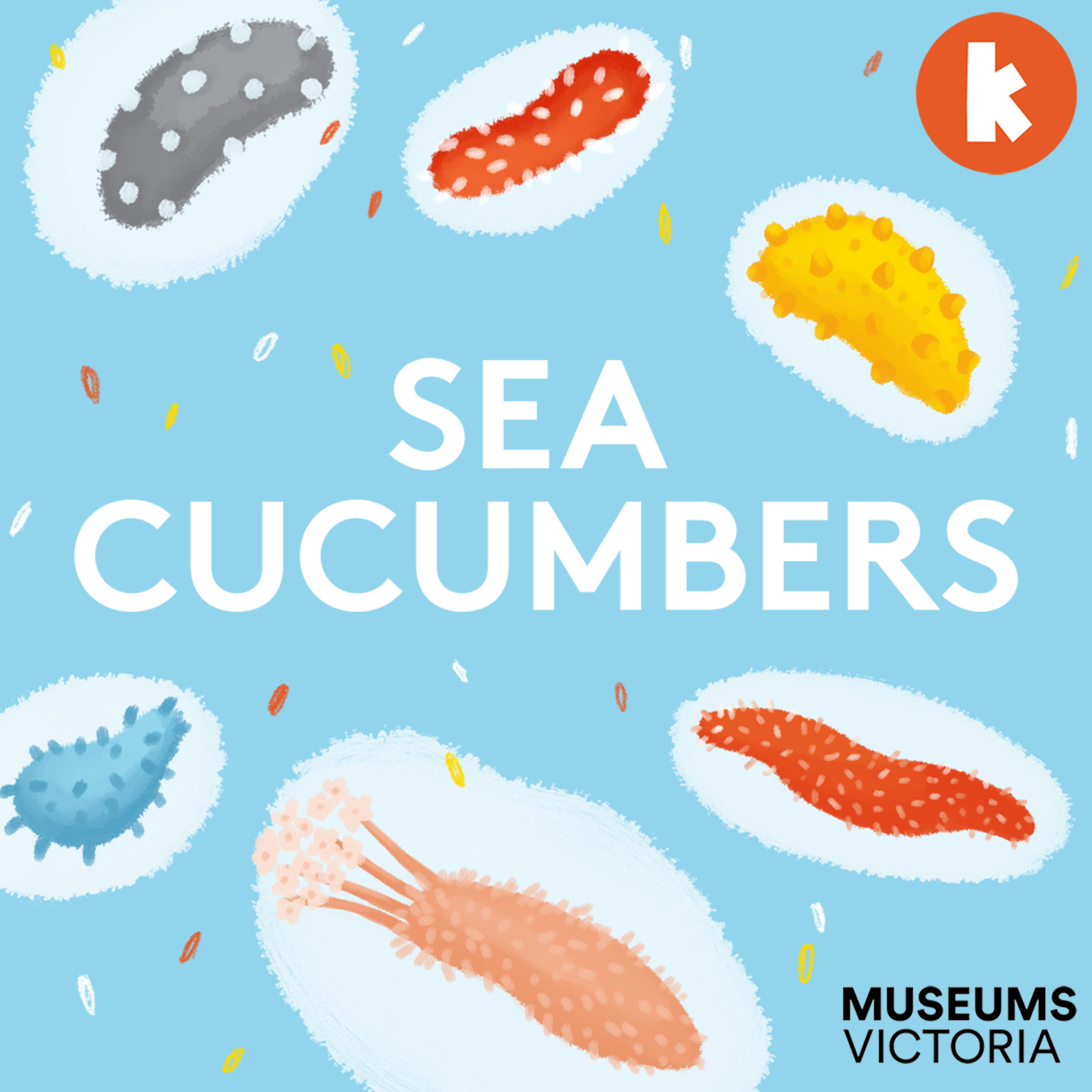 Sea Cucumbers