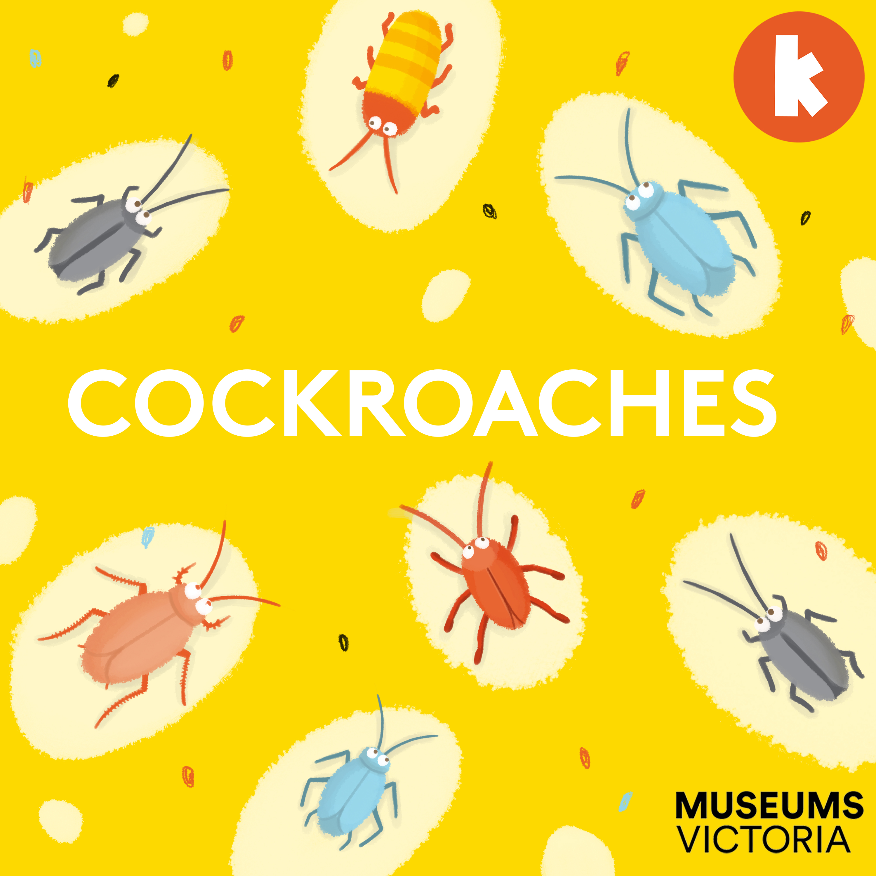 Cockroaches