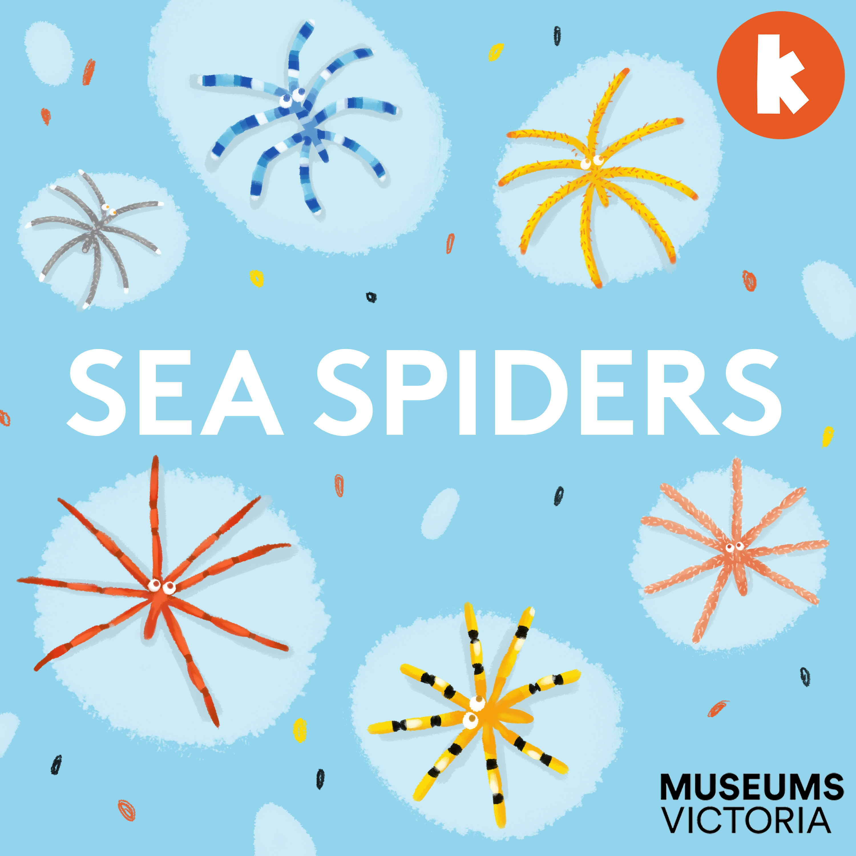 Sea Spiders