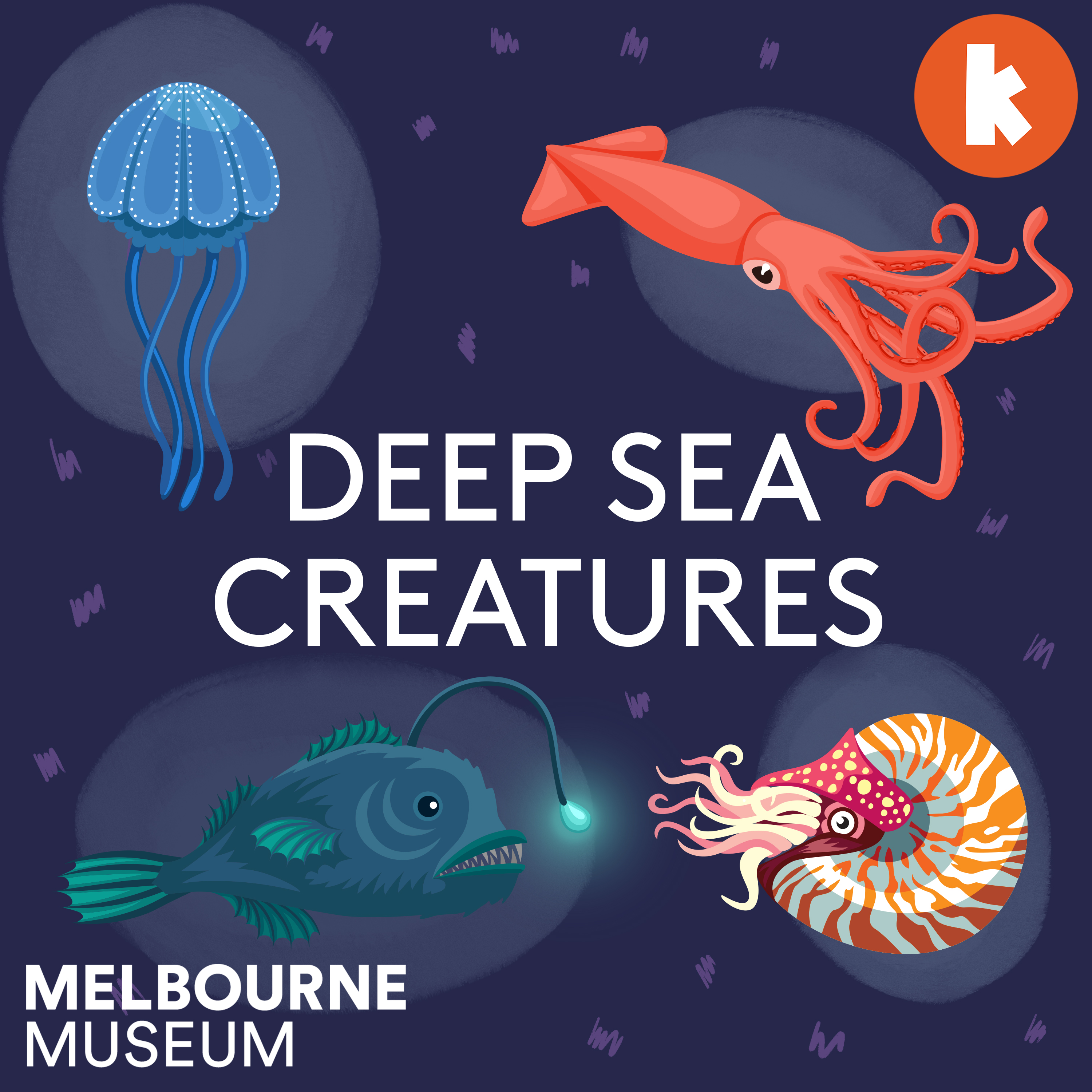 Deep Sea Creatures