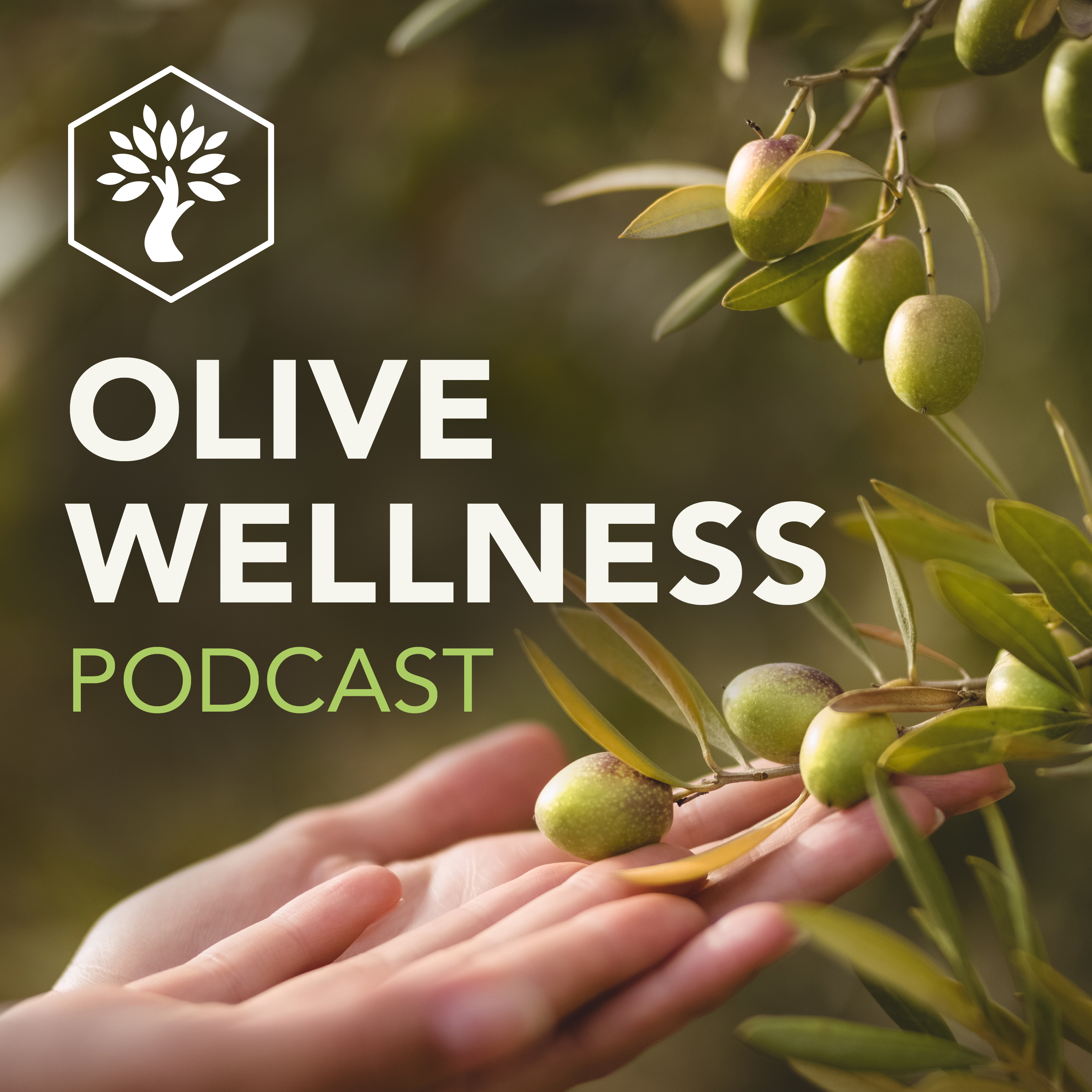 Integrating Olive Leaf Extract into everyday use alongside medications