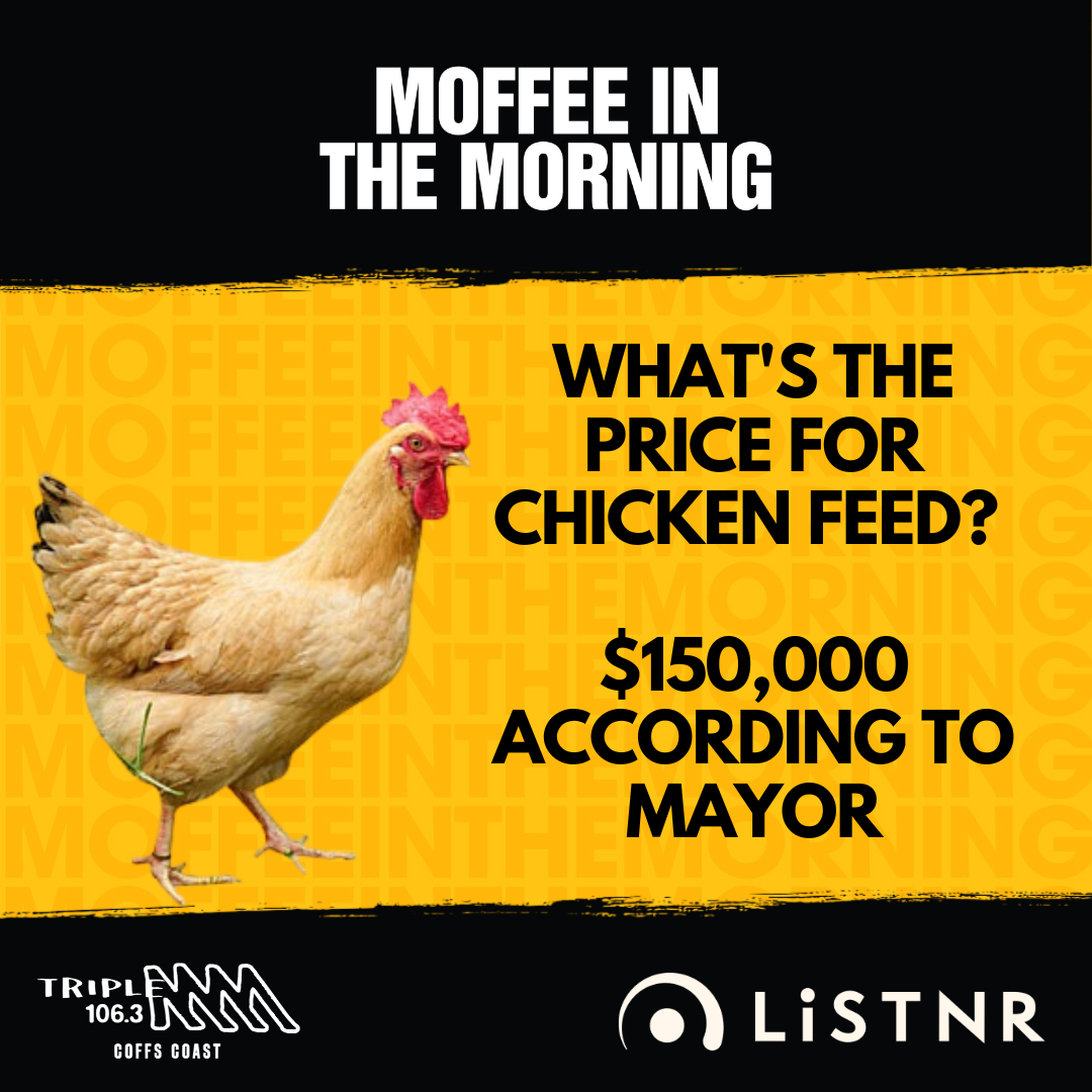 Coffs Harbour Mayor Says "$150,000 is Chicken Feed"