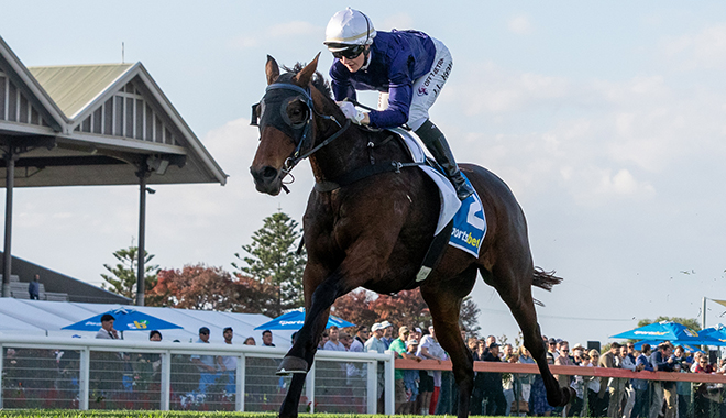 The Tassie horse looking to put us on The Map at the Melbourne Cup