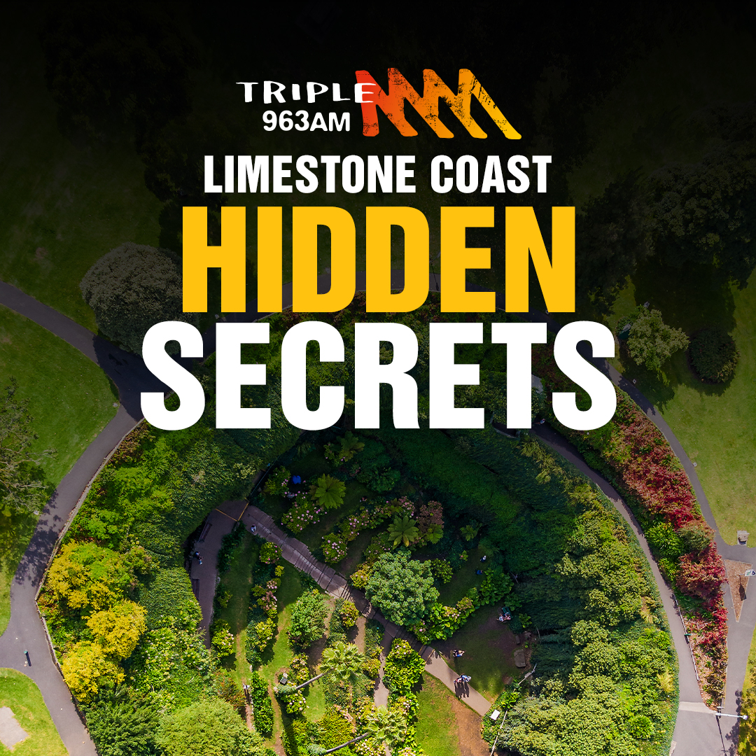 Limestone Coast Hidden Secrets Ep 15 LSC Canoe Trees