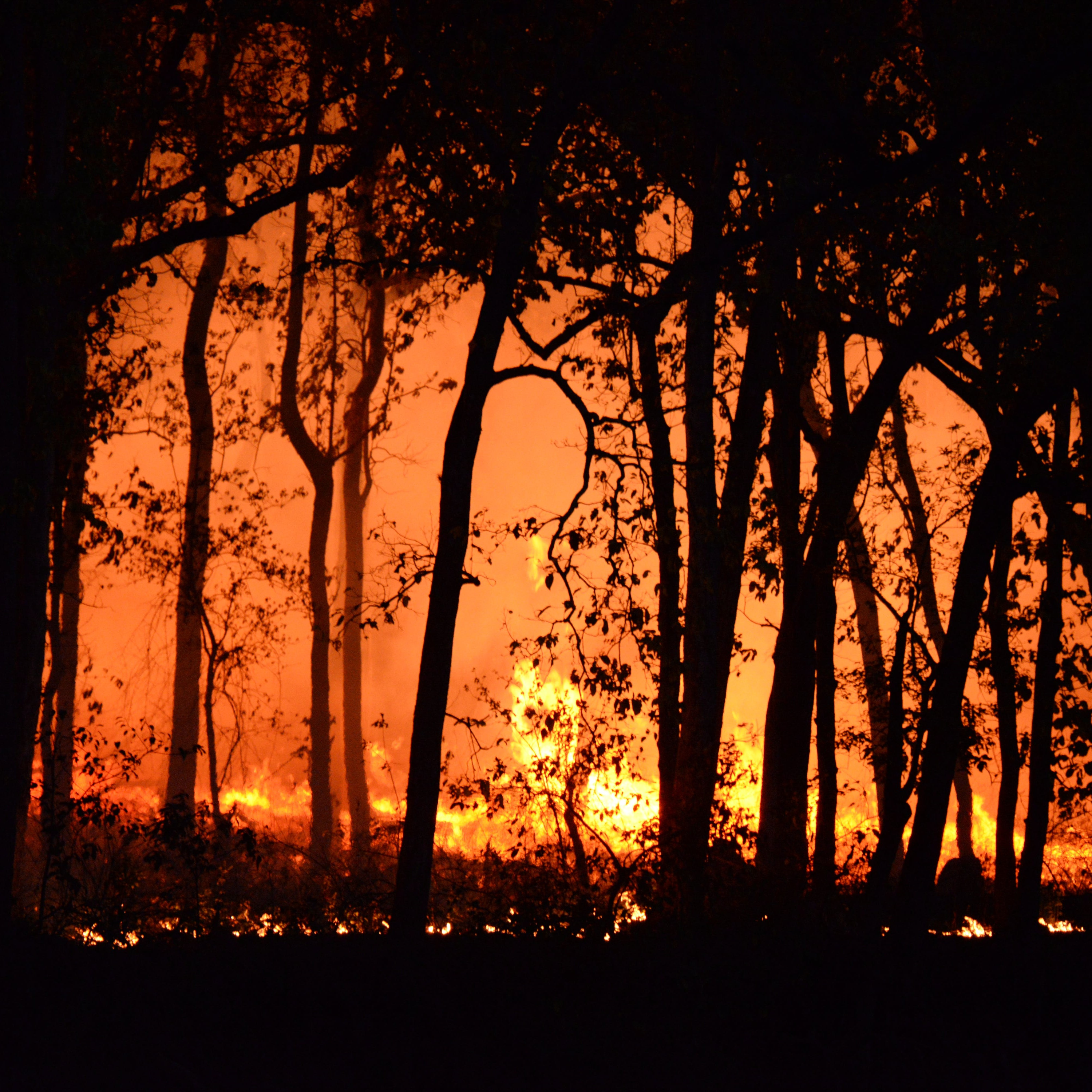 Fire threat downgraded across the border